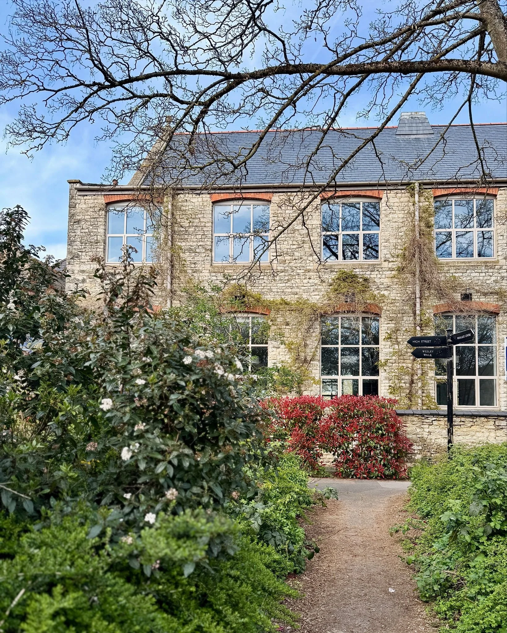 A stone building with multiple large windows, some covered with ivy, and a gravel pathway leading to it, surrounded by greenery and red and white flowering bushes.