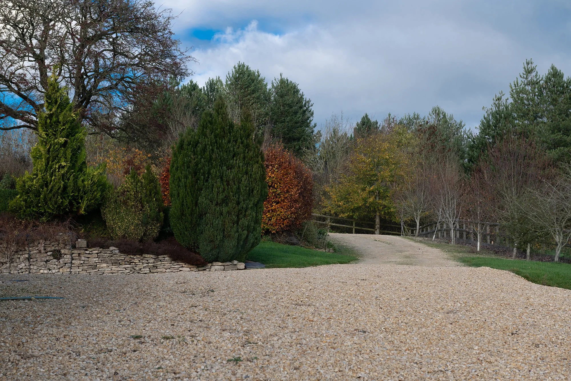 DSC_6156.jpg