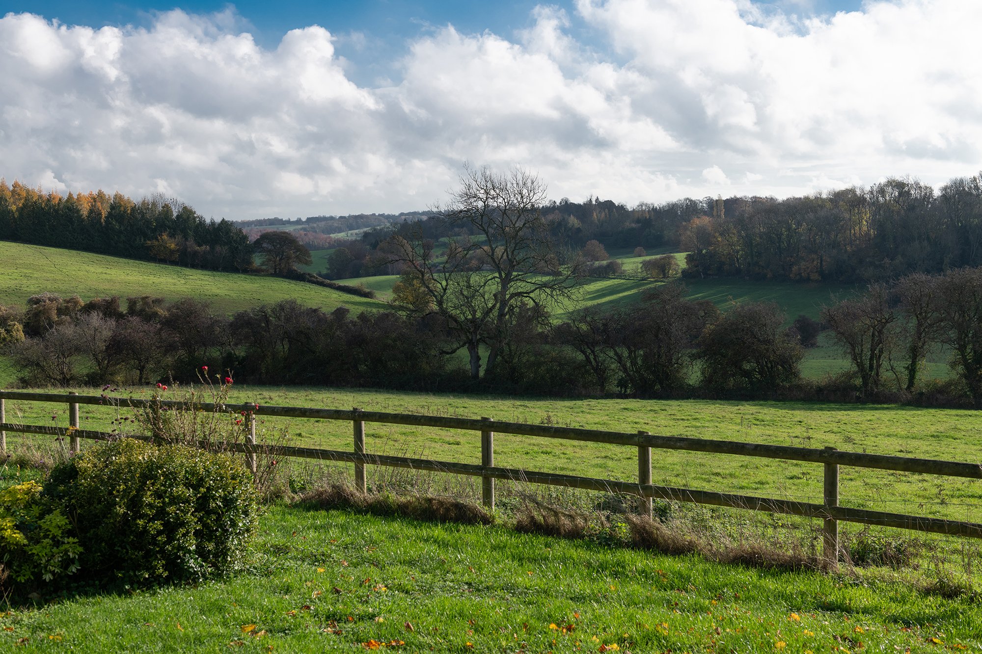 DSC_6154.jpg