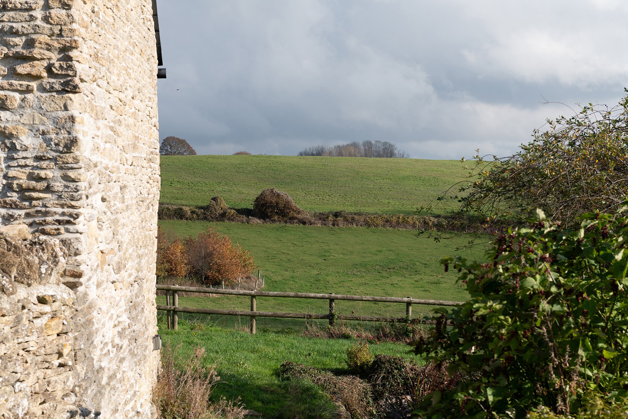 DSC_6155.jpg