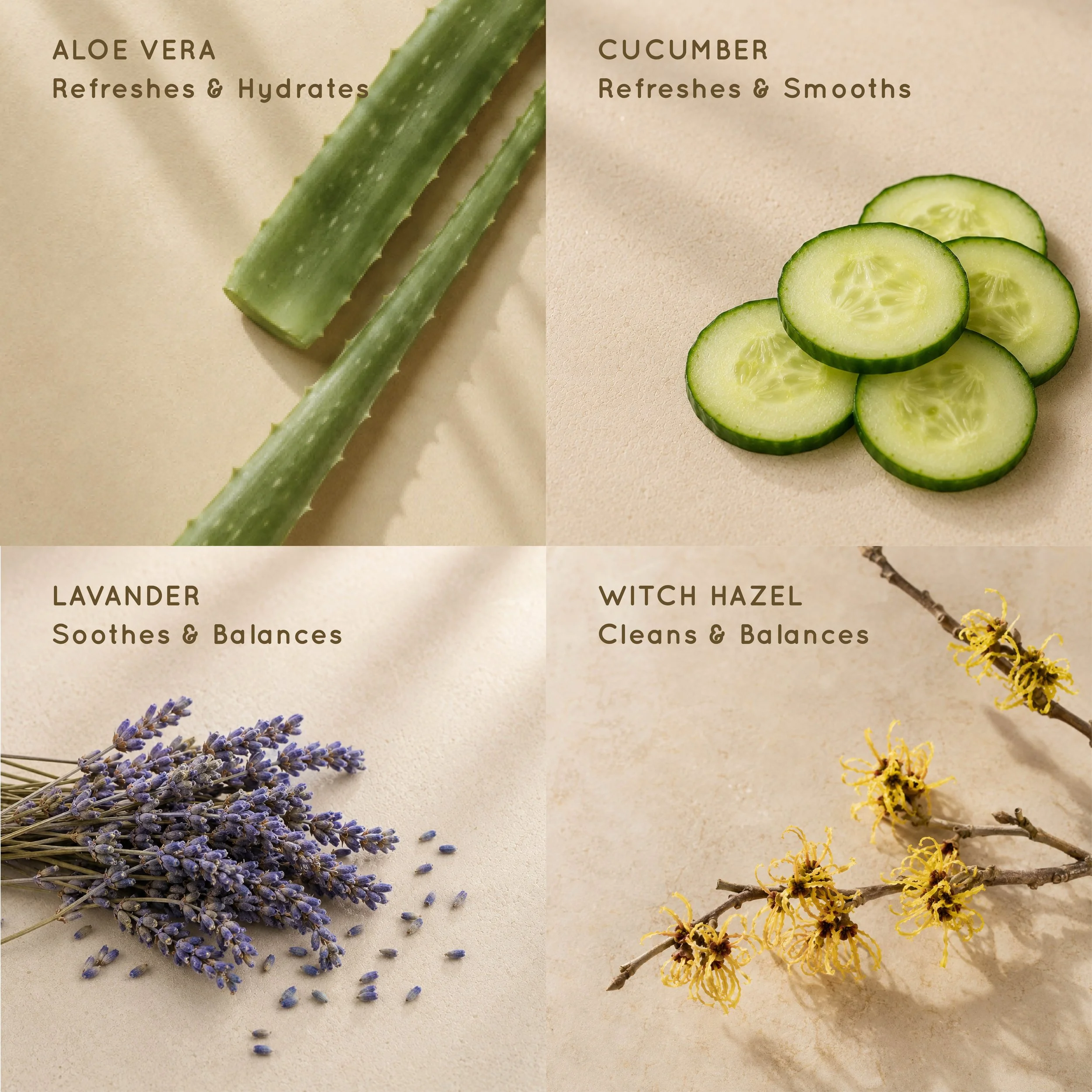 coastline-clear-serum-ingredients.jpg