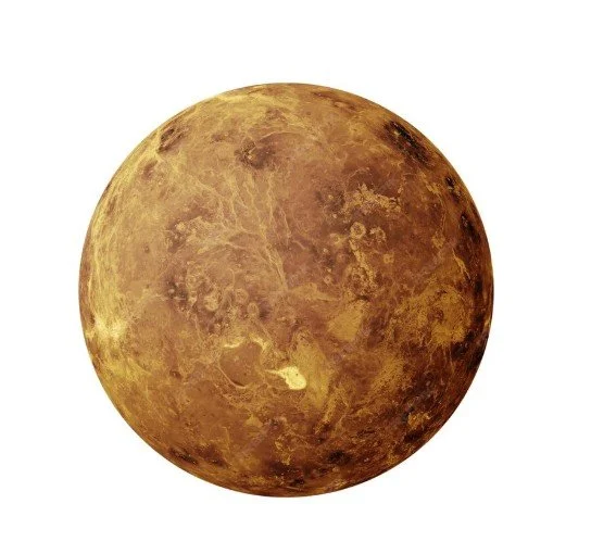 venus.jpg