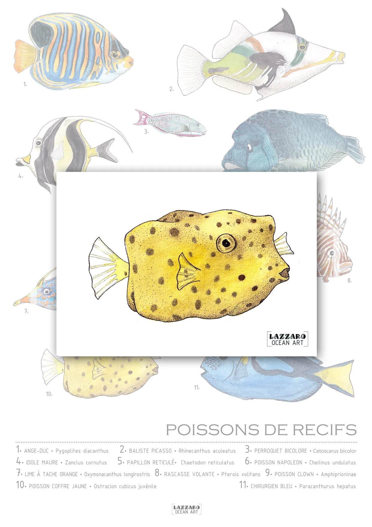 Carte-postale-coffre-jaune-juvenile-poisson-recifs-coraliens-aquarelle-stephanie-lazzaro.jpg