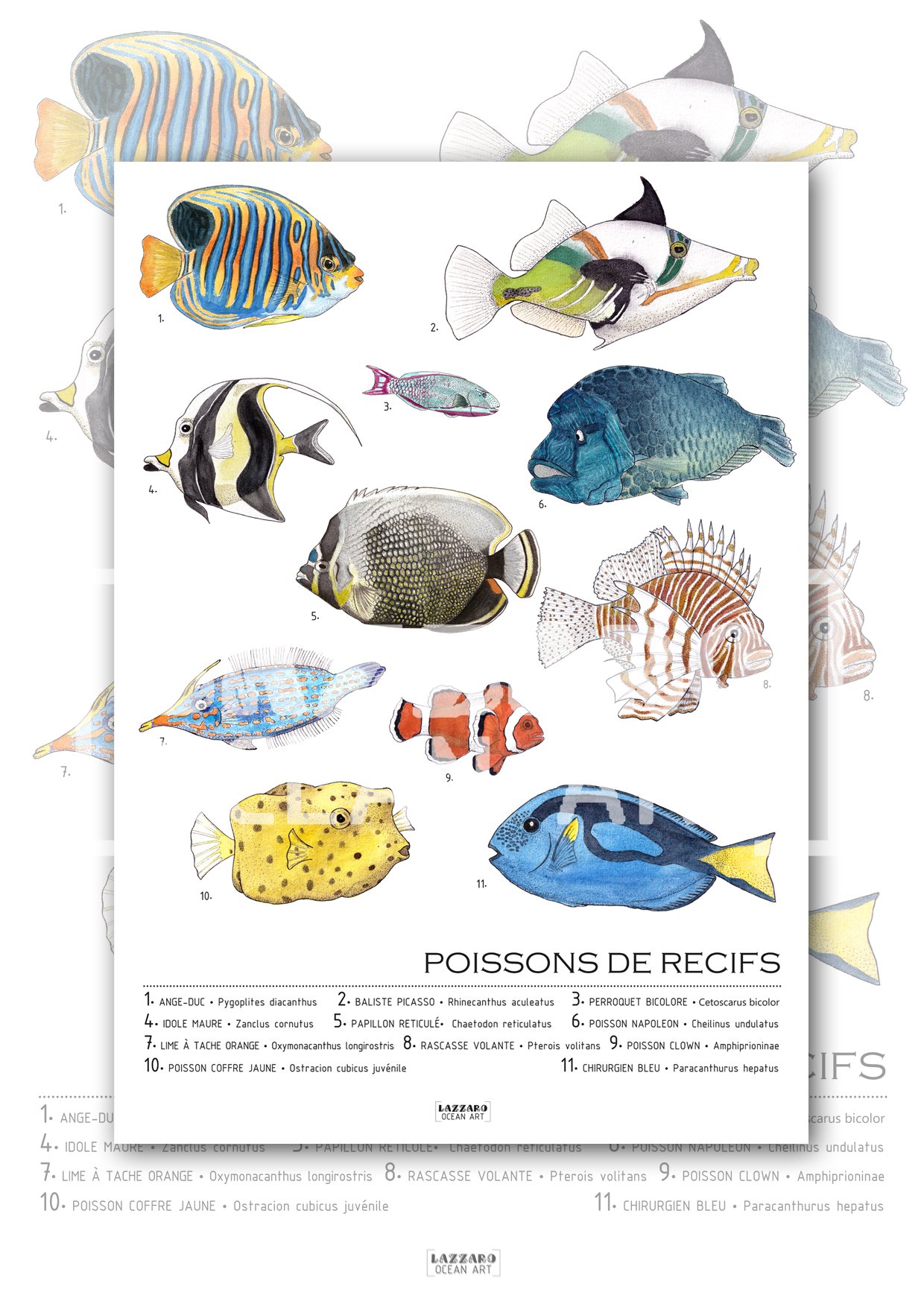 Les poissons de récifs coraliens