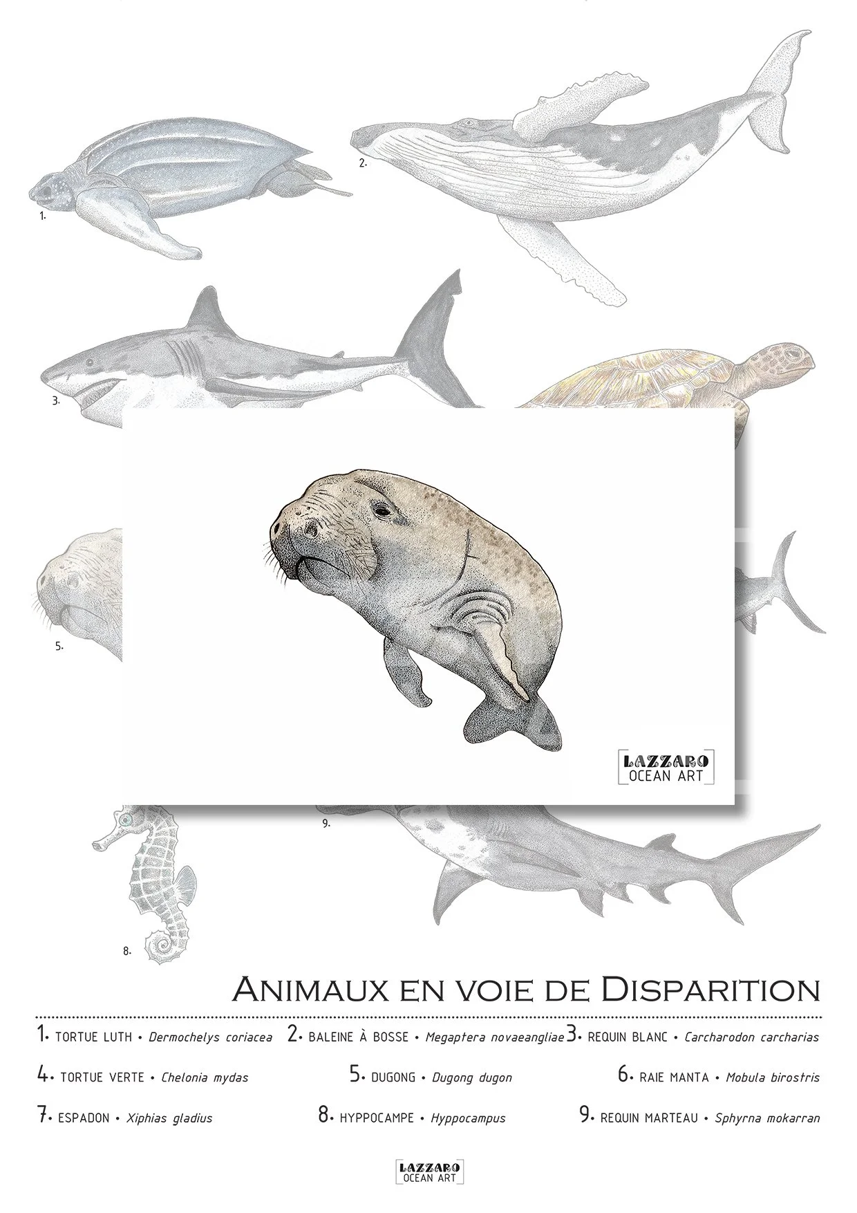Carte-postale-dugong-animaux-voie-disparition-aquarelle-stephanie-lazzaro.jpg
