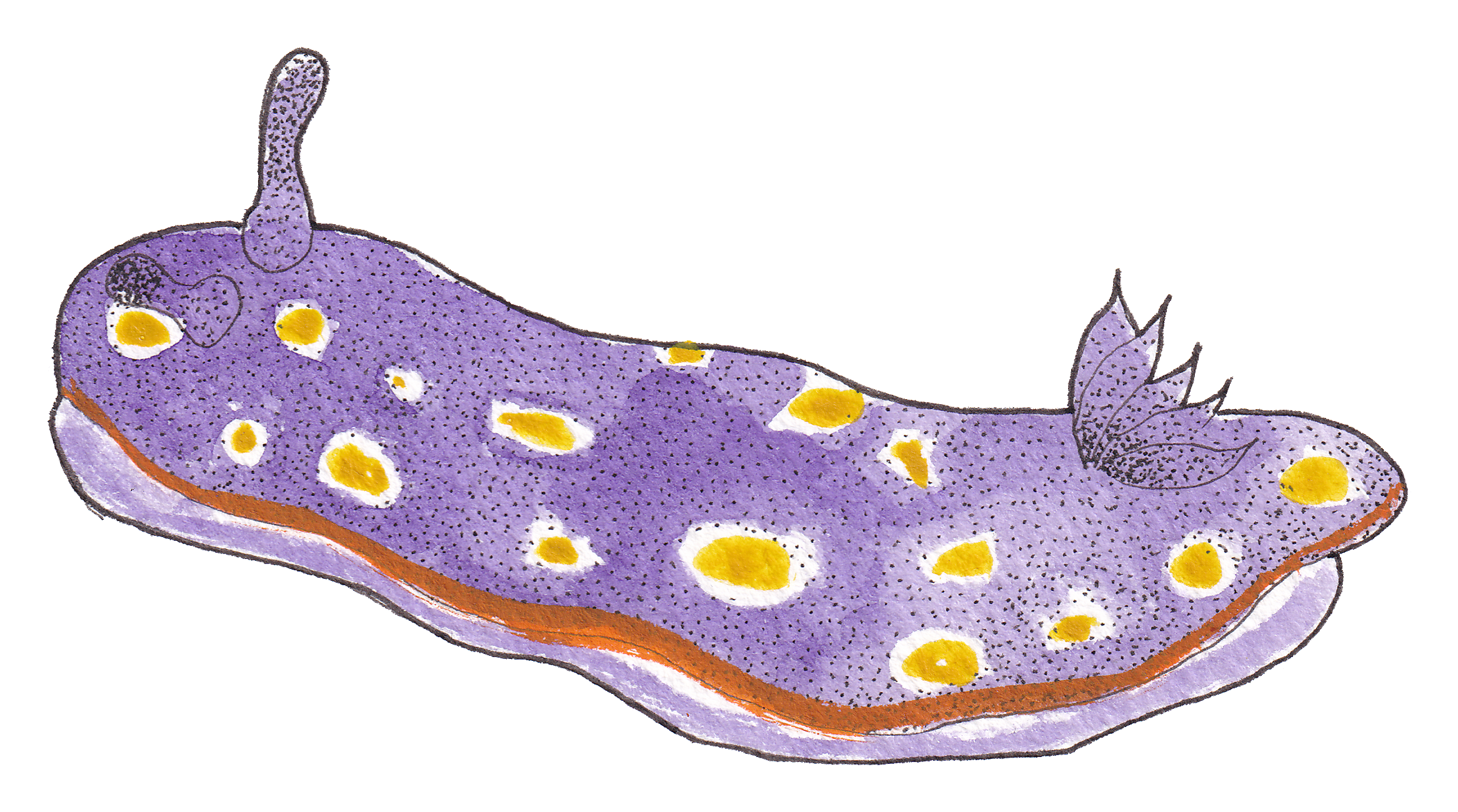 Illustration d'une bactérie en forme de bâtonnet, de couleur violette avec des points jaunes à sa surface, quelques feuilles à l'extrémité droite.