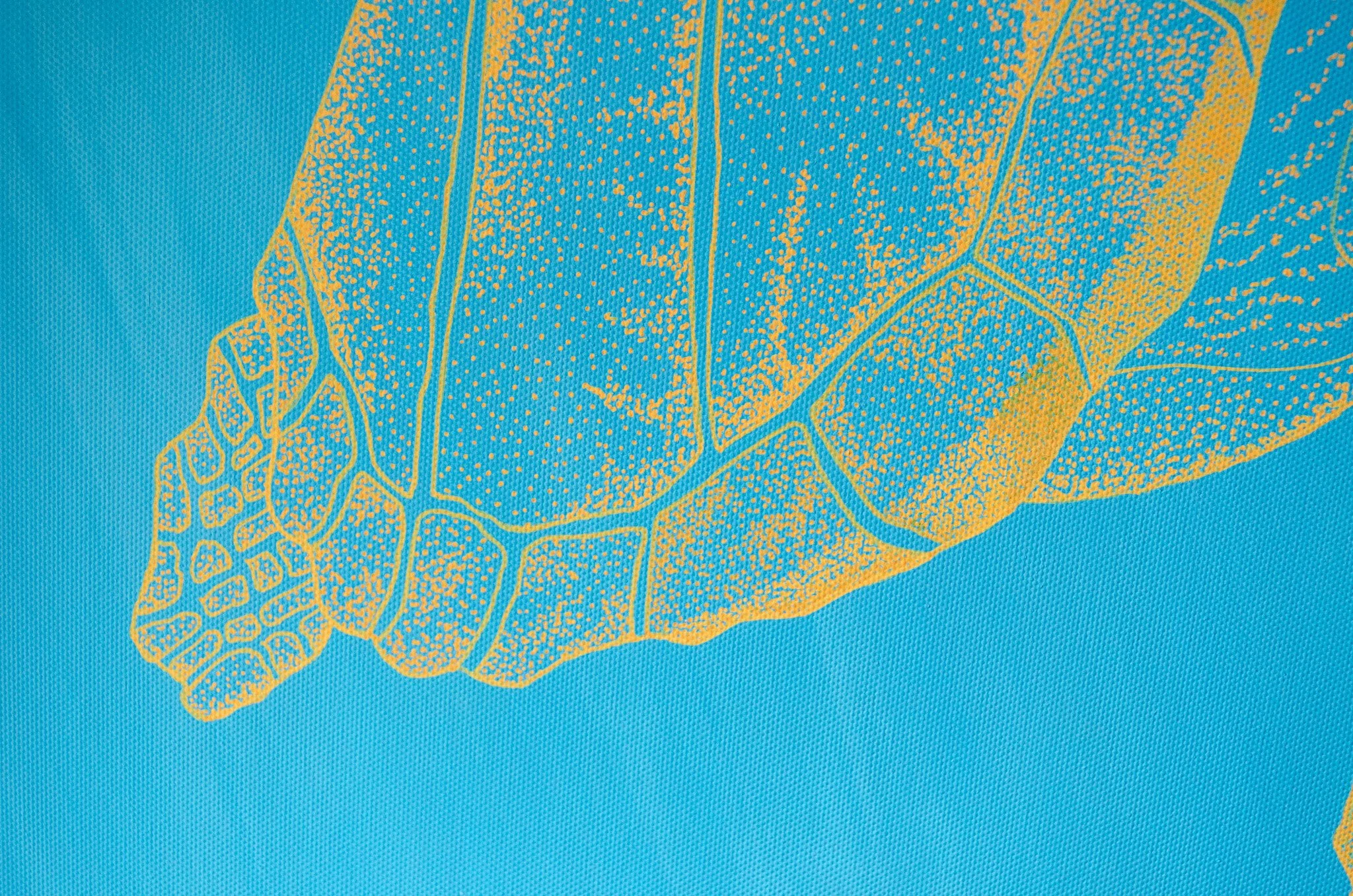 Detail-1-corpus-marin-testa-tortue-dot-art-animaux-marins.jpg