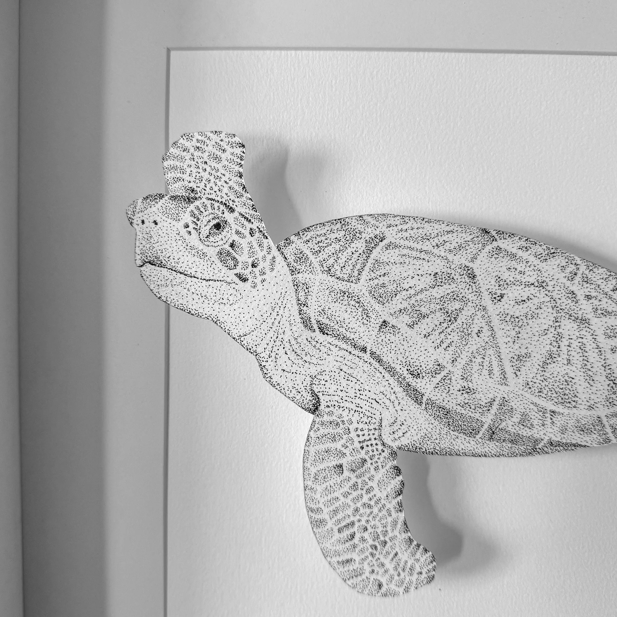 Dessin-dot-Tortue-zoom-2-stephanie-lazzaro.jpg