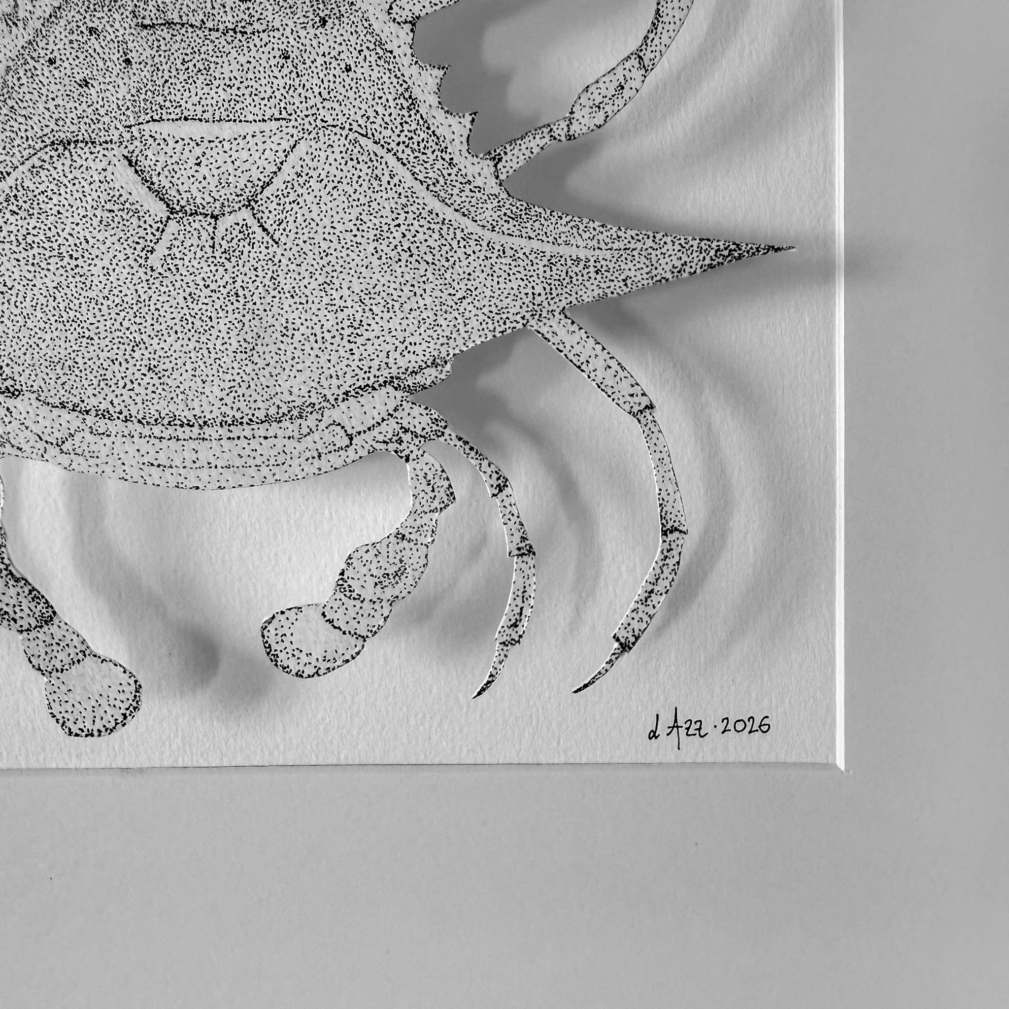Dessin-dot-Crabe-bleu-zoom-1-stephanie-lazzaro.jpg