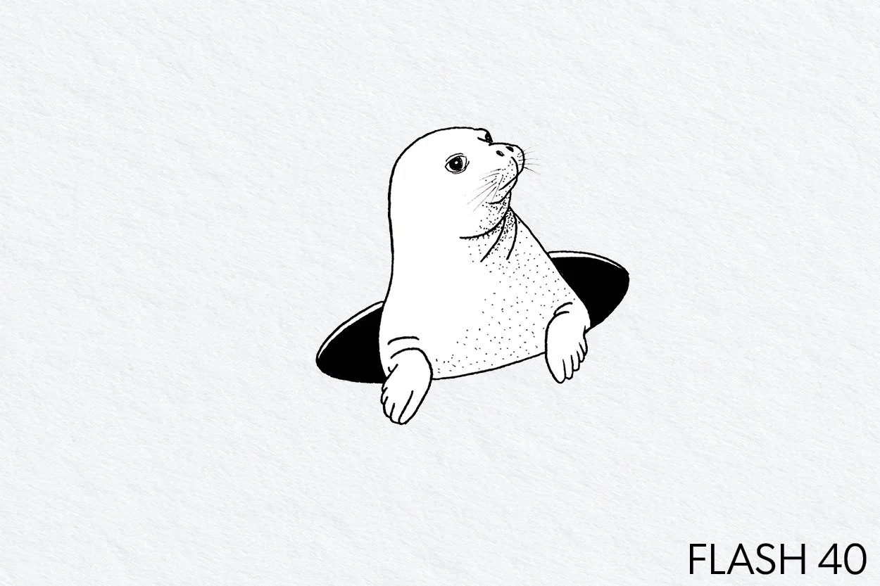 FLASH 040.jpg