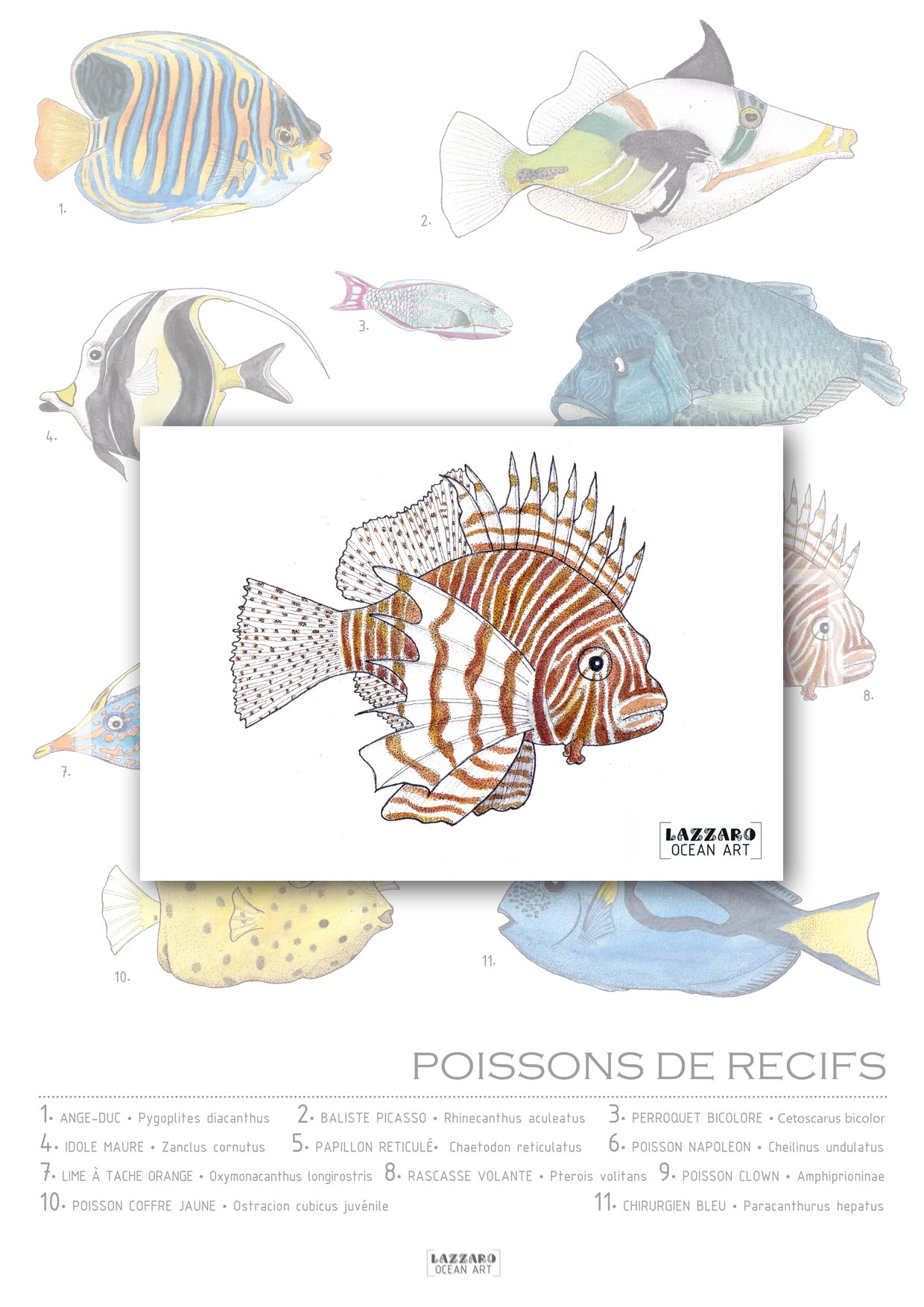 Carte-postale-rascasse-volante-poisson-recifs-coraliens-aquarelle-stephanie-lazzaro.jpg