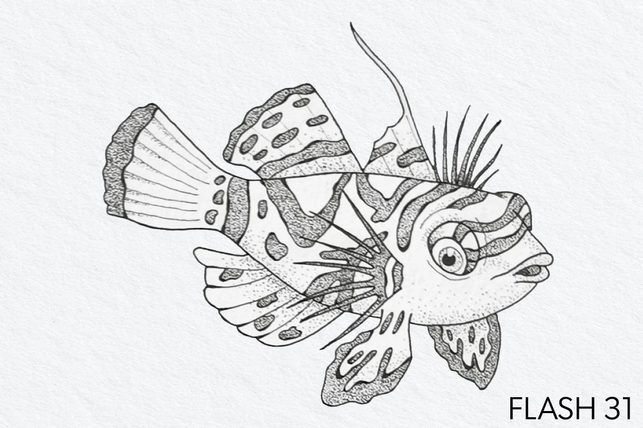 FLASH 031.jpg