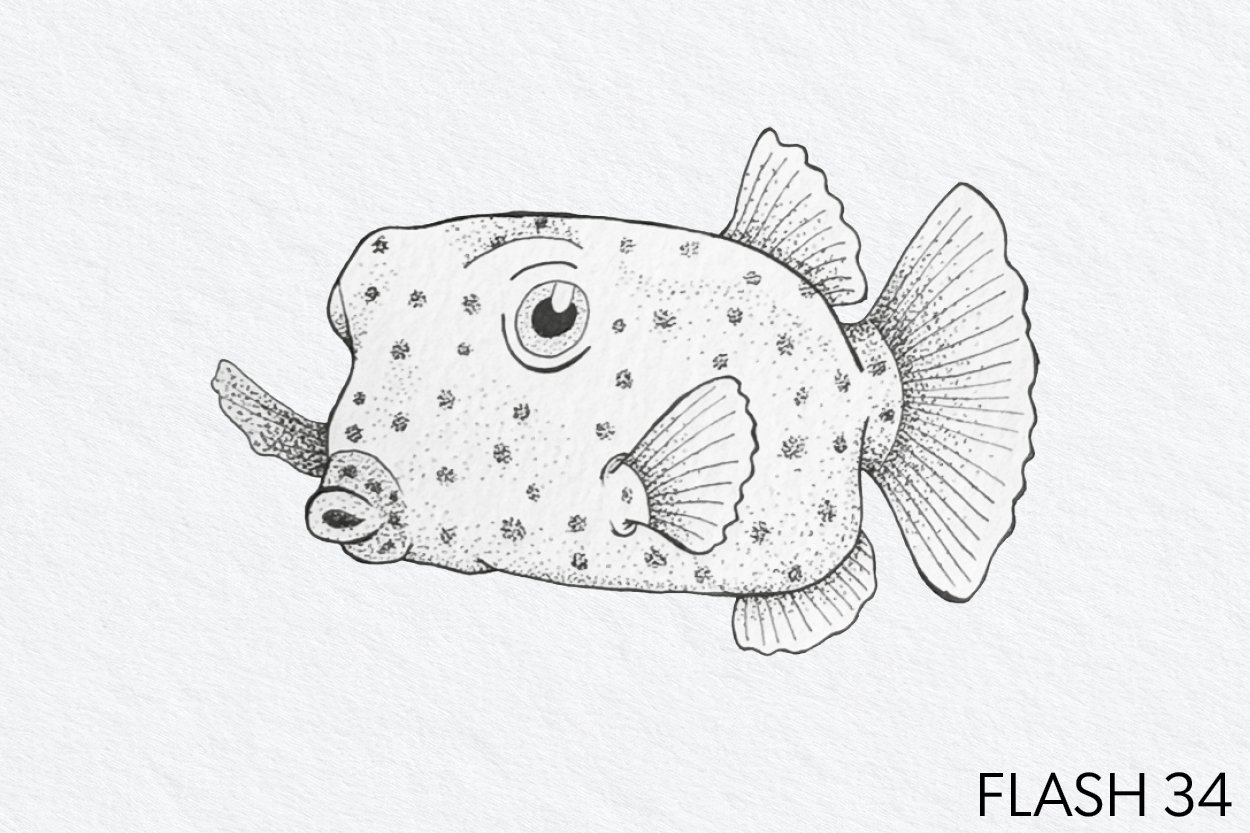 FLASH 034.jpg