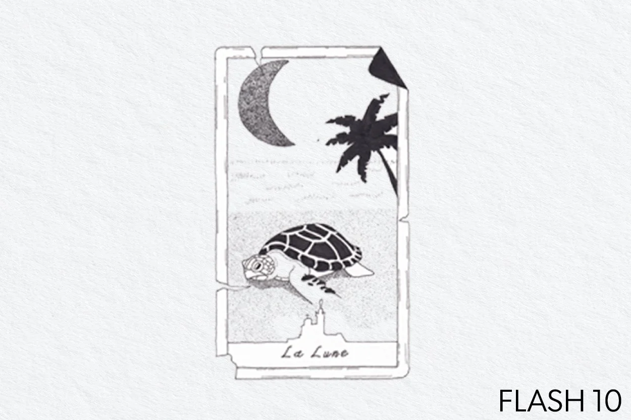 FLASH 010.jpg