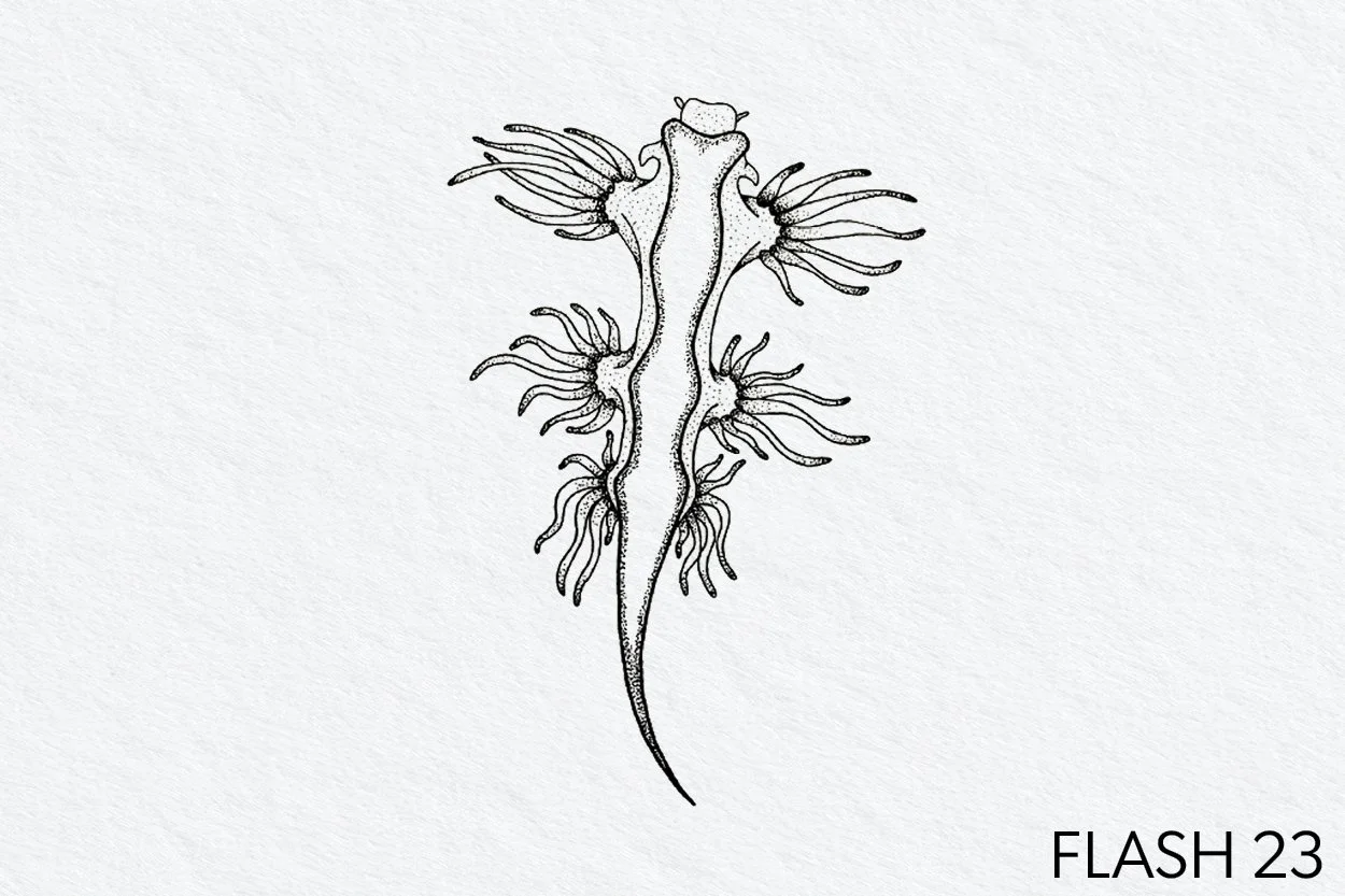 FLASH 023.jpg