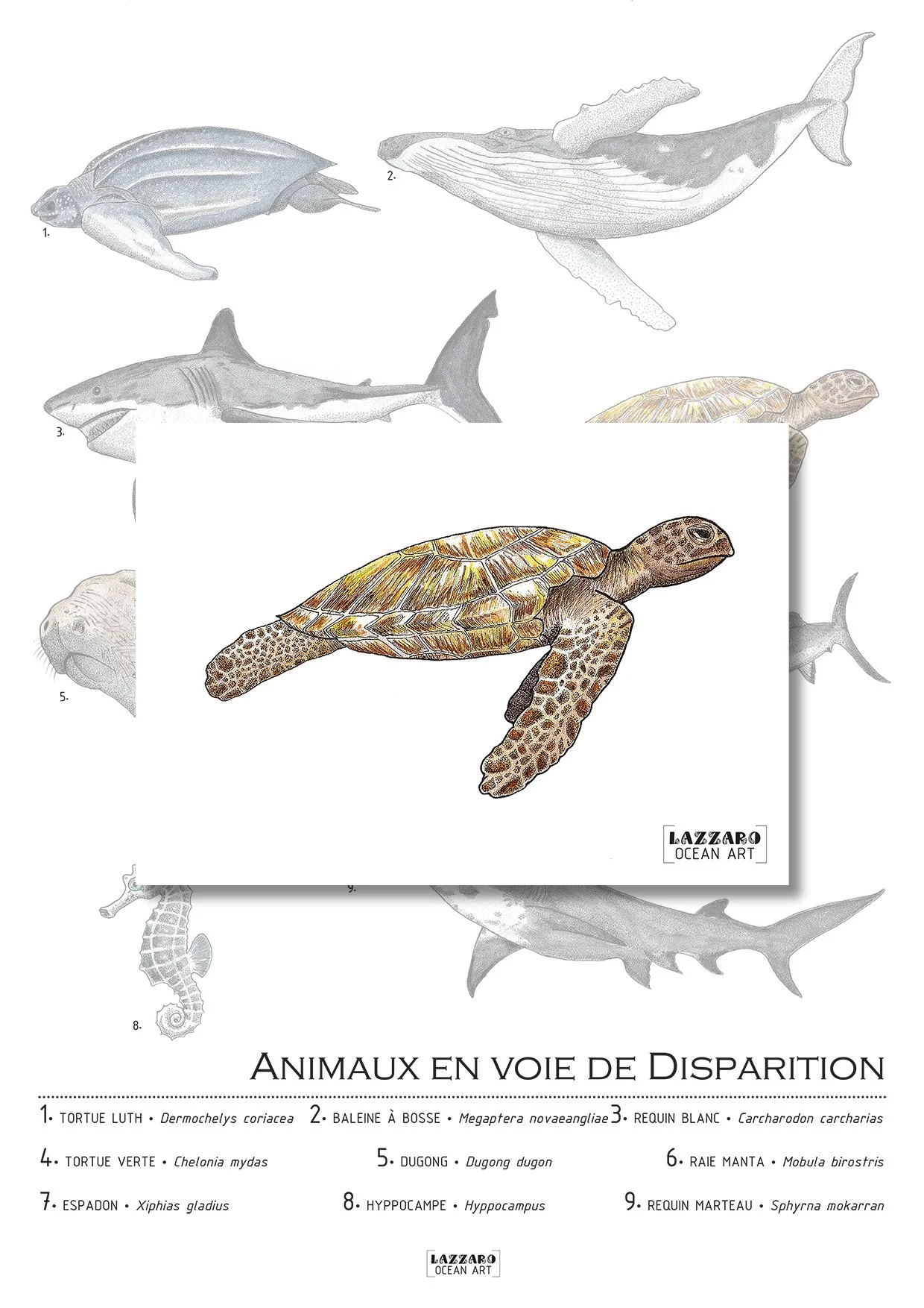 Carte-postale-tortue-verte-animaux-voie-disparition-aquarelle-stephanie-lazzaro.jpg