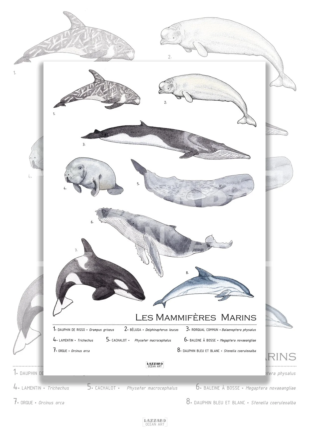 Les mammifères marins