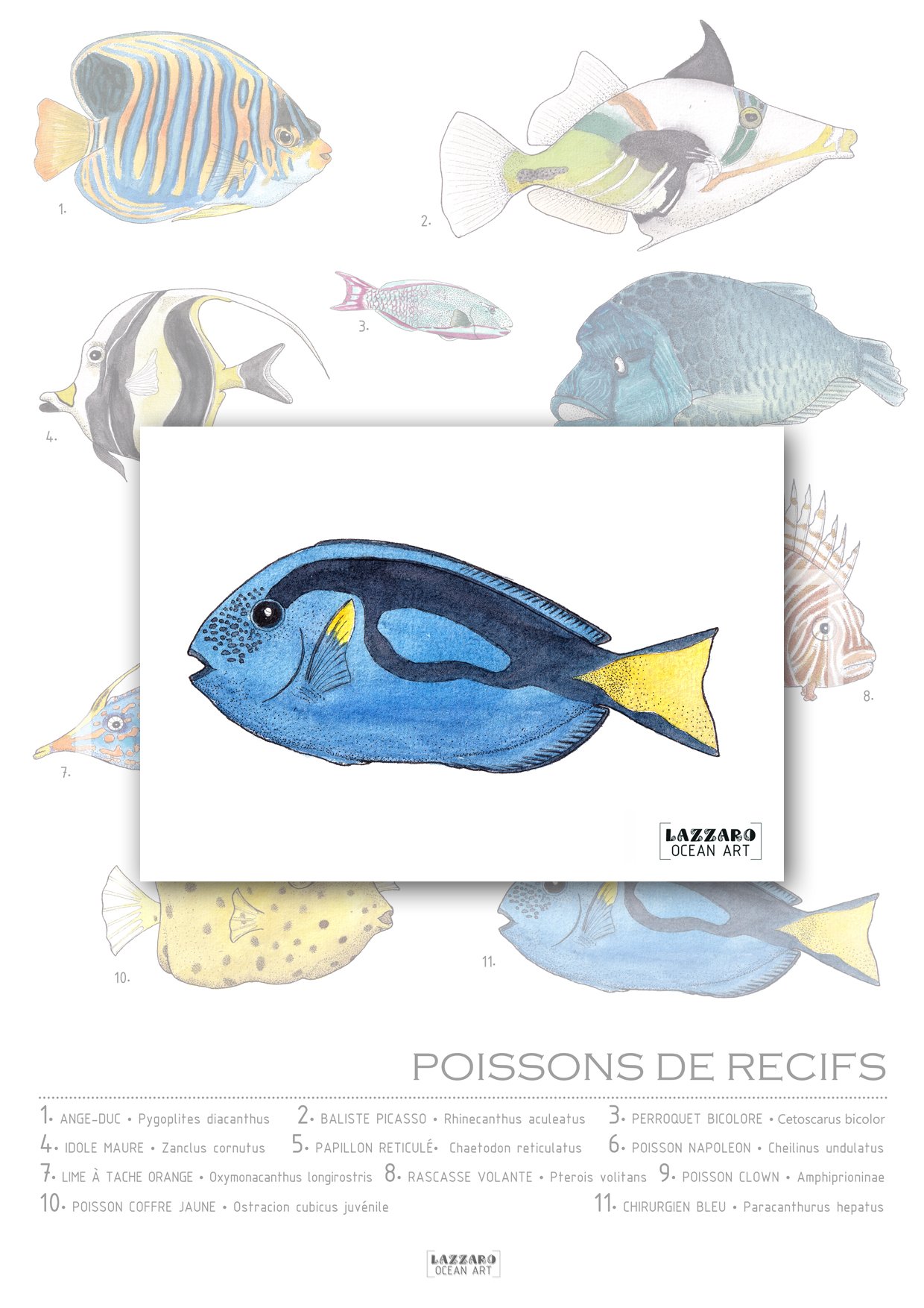 Carte-postale-chirurgien-bleu-poisson-recifs-coraliens-aquarelle-stephanie-lazzaro.jpg