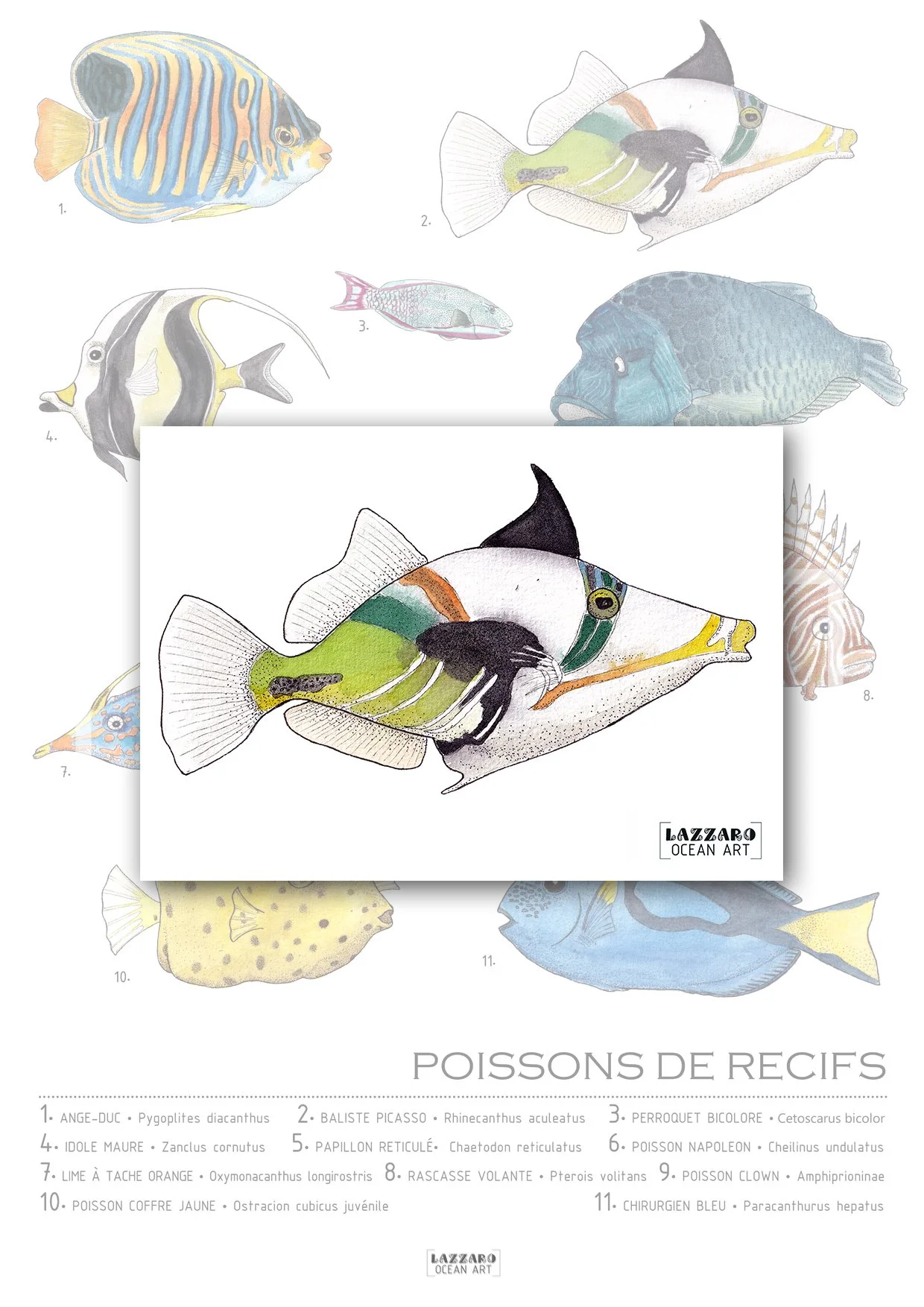 Carte-postale-baliste-picasso-poisson-recifs-coraliens-aquarelle-stephanie-lazzaro.jpg