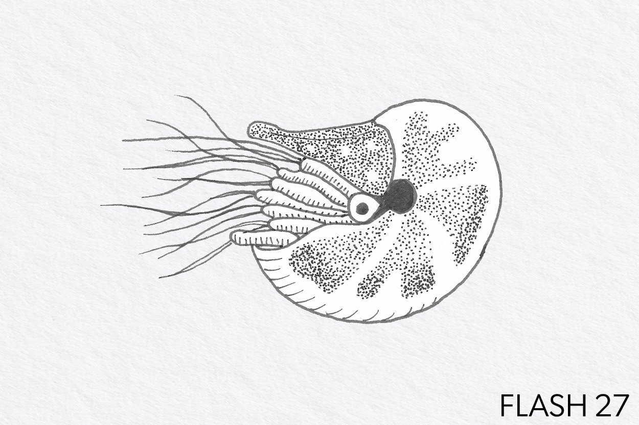 FLASH 027.jpg