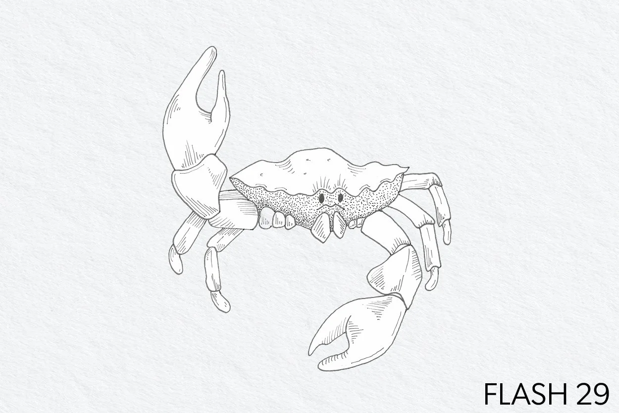 FLASH 029.jpg