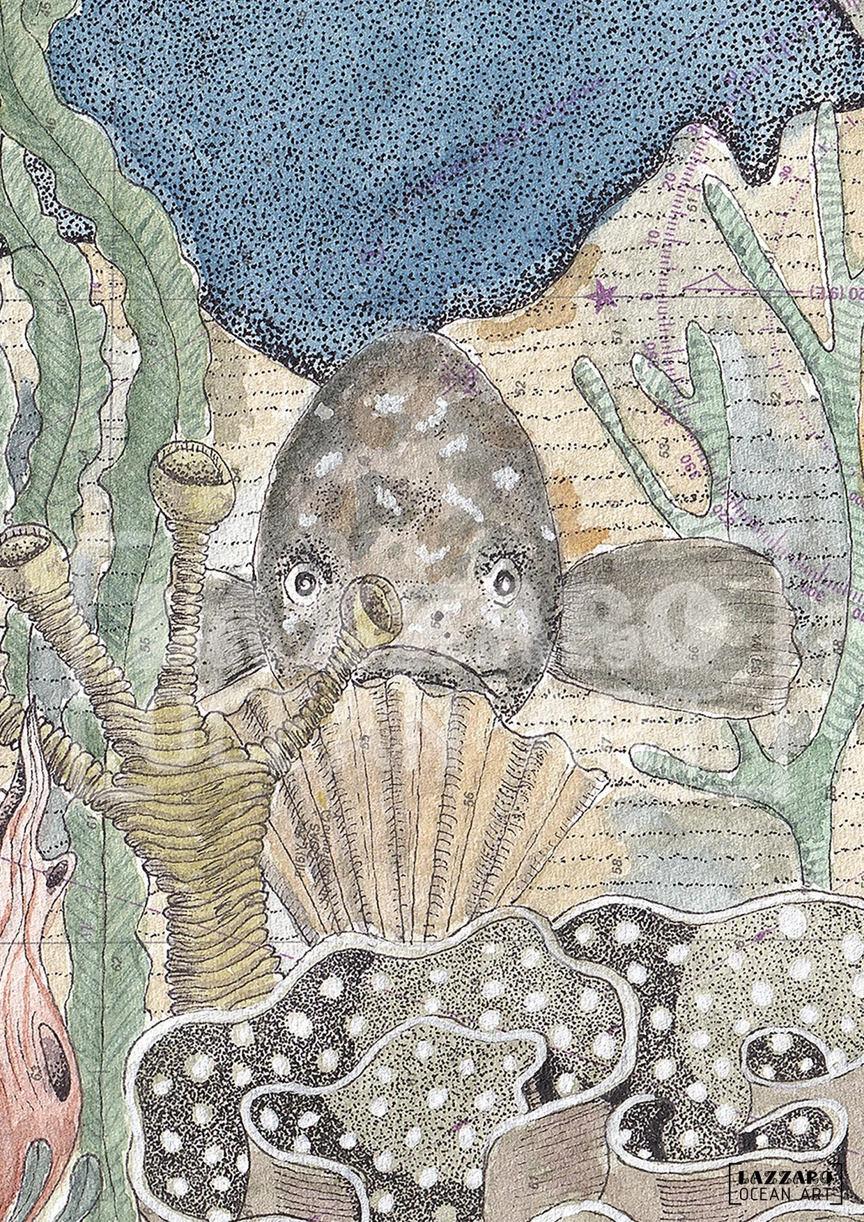 illustration-poissons-carte-marine-marseille-aquarelle-detail-stephanie-lazzaro.jpg.jpg