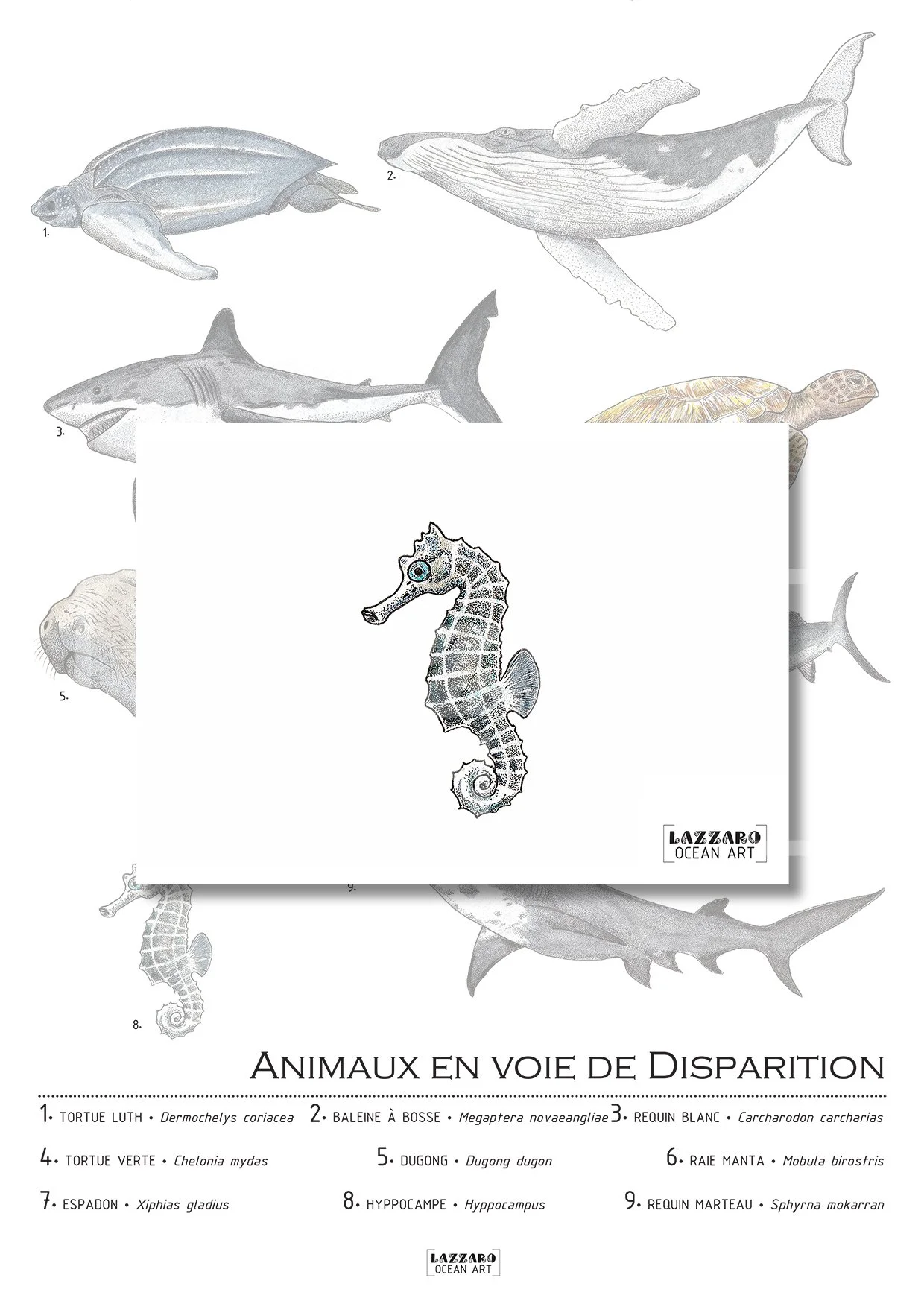 Carte-postale-hippocampe-animaux-voie-disparition-aquarelle-stephanie-lazzaro.jpg