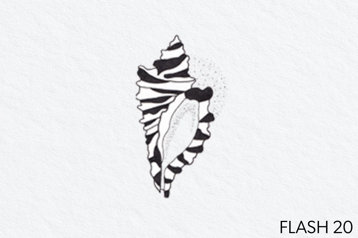 FLASH 020.jpg