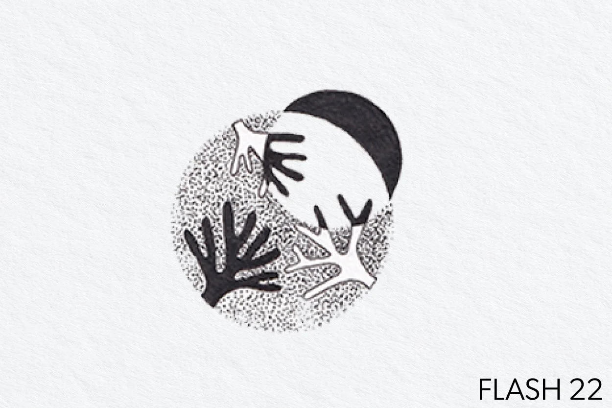 FLASH 022.jpg