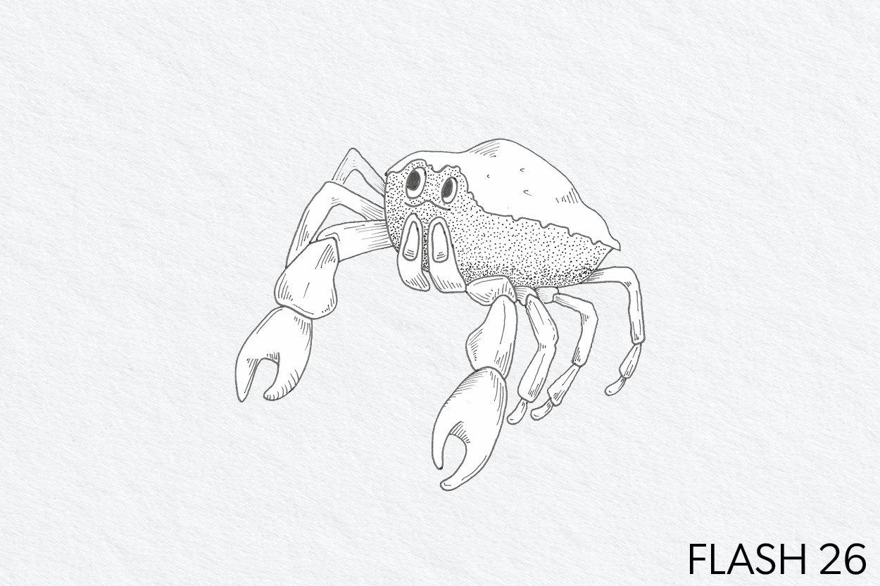 FLASH 026.jpg