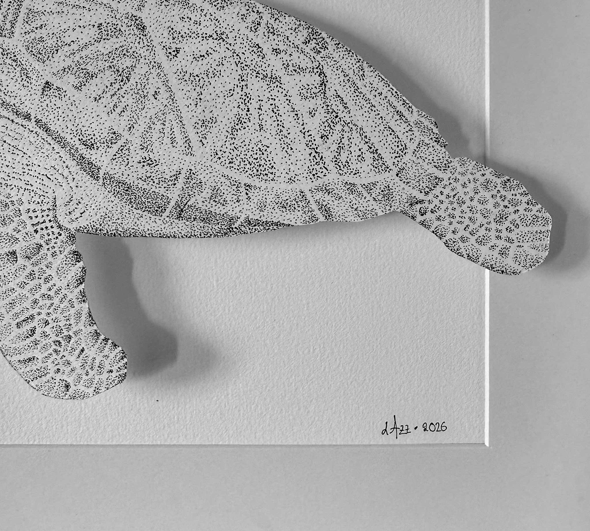 Dessin-dot-Tortue-zoom-1-stephanie-lazzaro.jpg