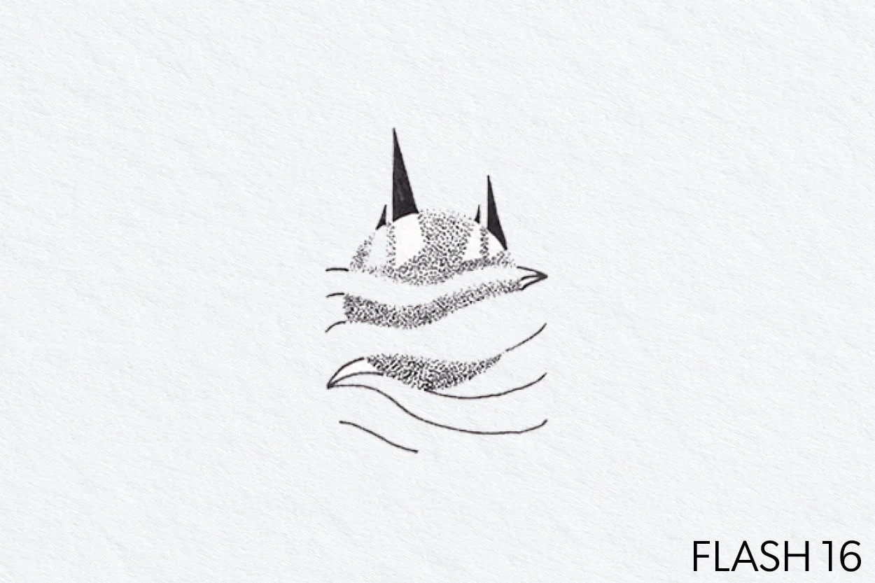 FLASH 016.jpg