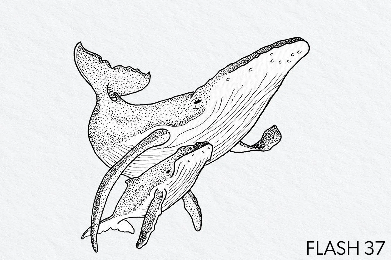 FLASH 037.jpg