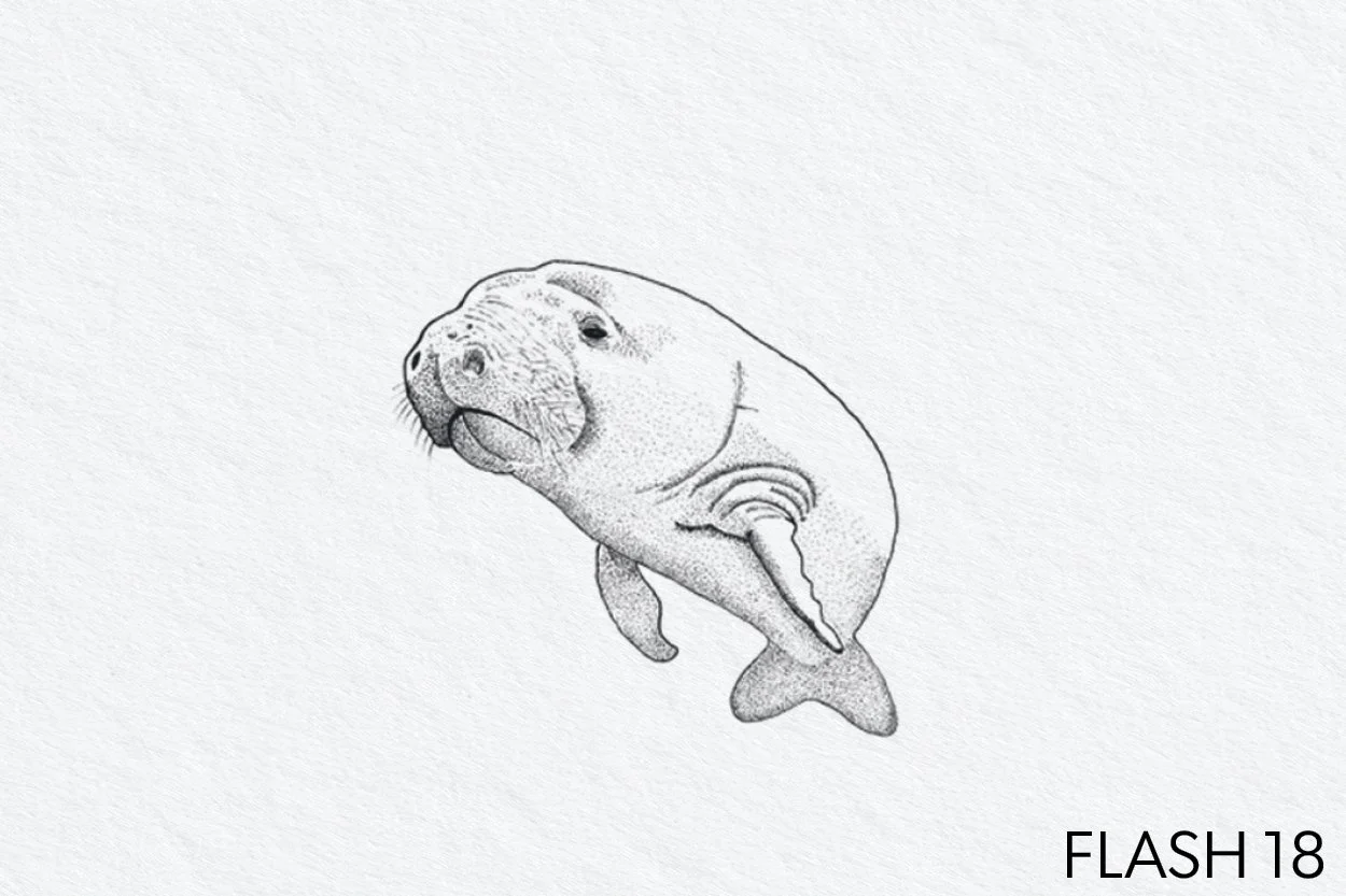 FLASH 018.jpg