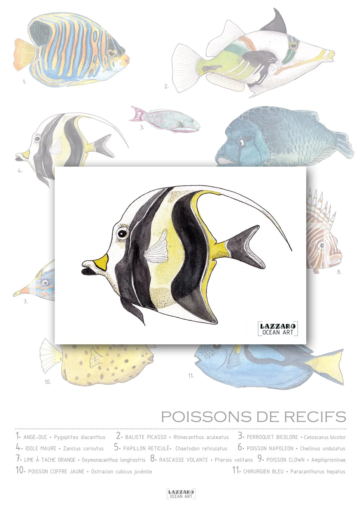 Carte-postale-idole-maure-poisson-recifs-coraliens-aquarelle-stephanie-lazzaro.jpg