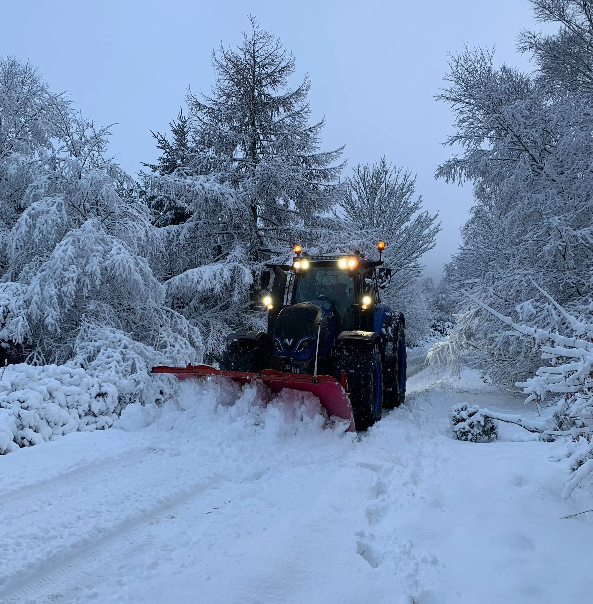 A snow-covered forest with a tractor plowing a path through the snow.