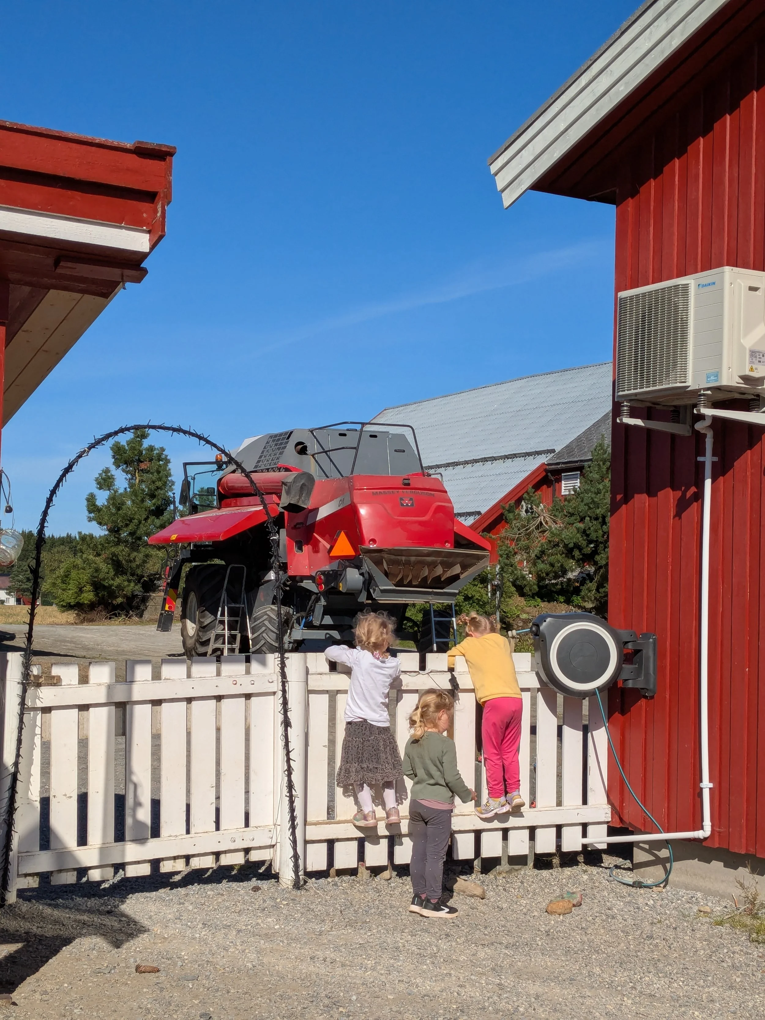 Skurtreske i bakgården