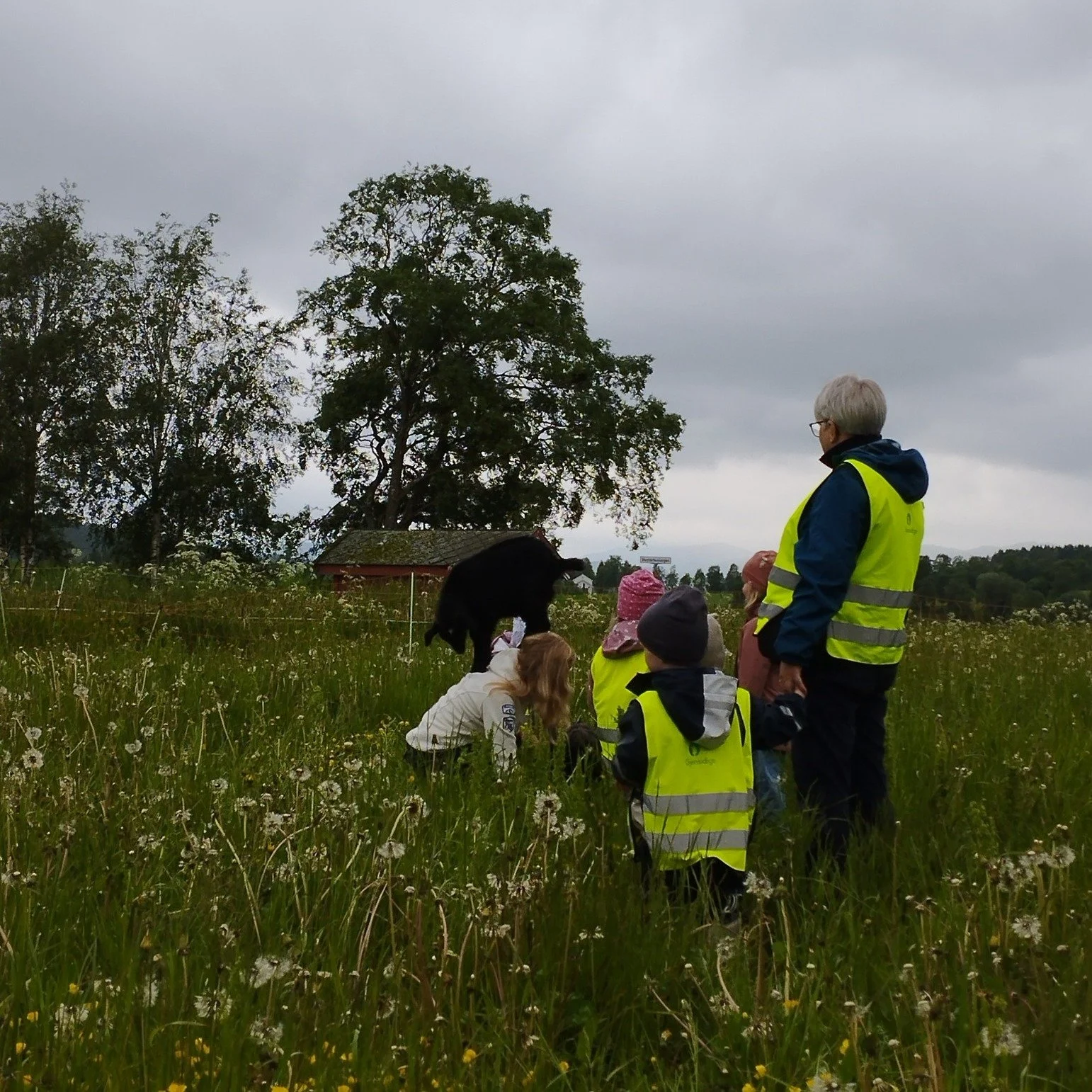 Vi s&oslash;ker frivillige lekevenner!

Har du litt tid p&aring; dagtid og lyst til &aring; gj&oslash;re noe som virkelig betyr noe, midt i ditt eget n&aelig;rmilj&oslash;? Da h&aring;per vi du vil bli en del av barnehagehverdagen v&aring;r. Ung som 