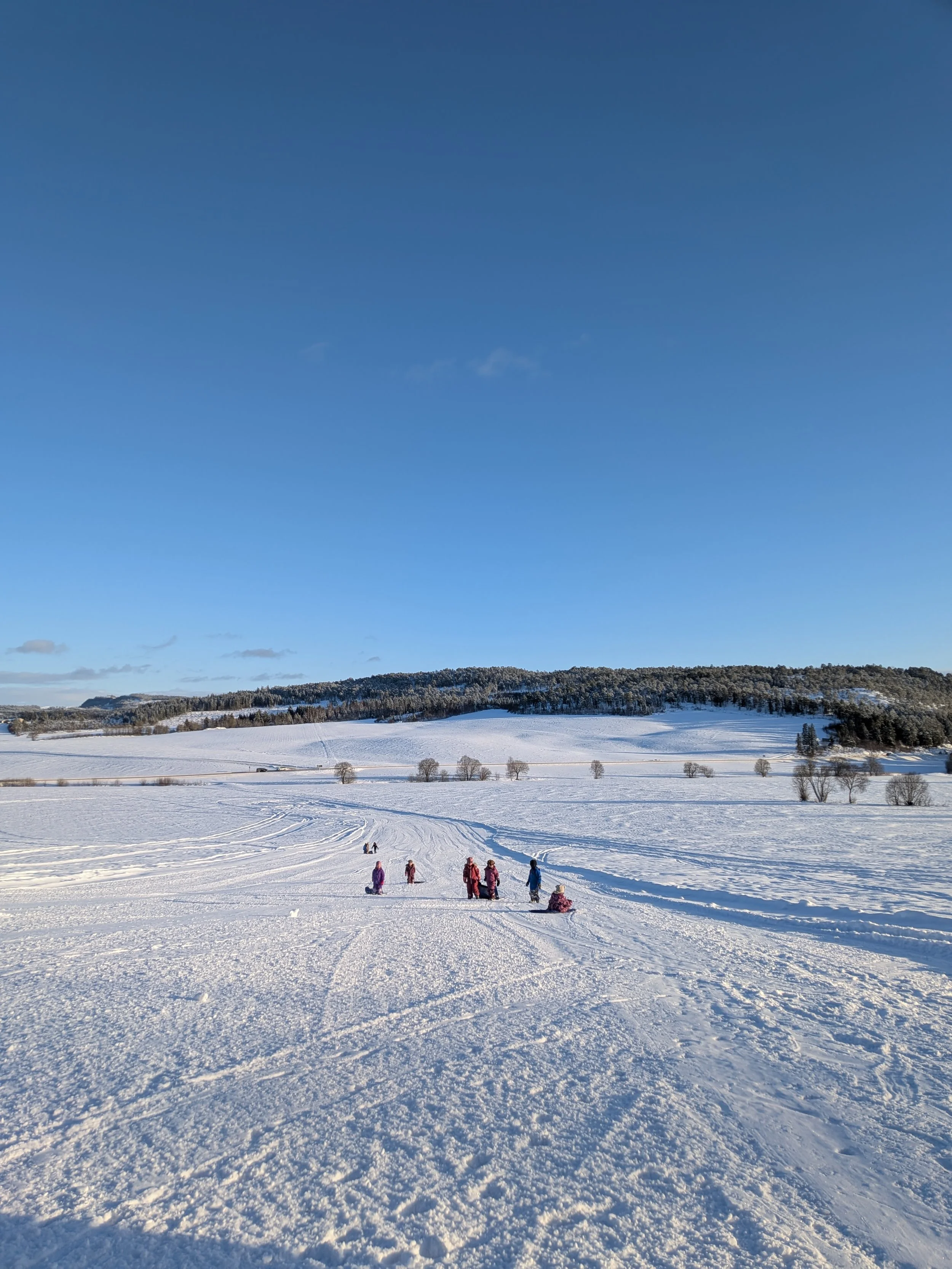 Snødekt vinterlandskap og akebakke
