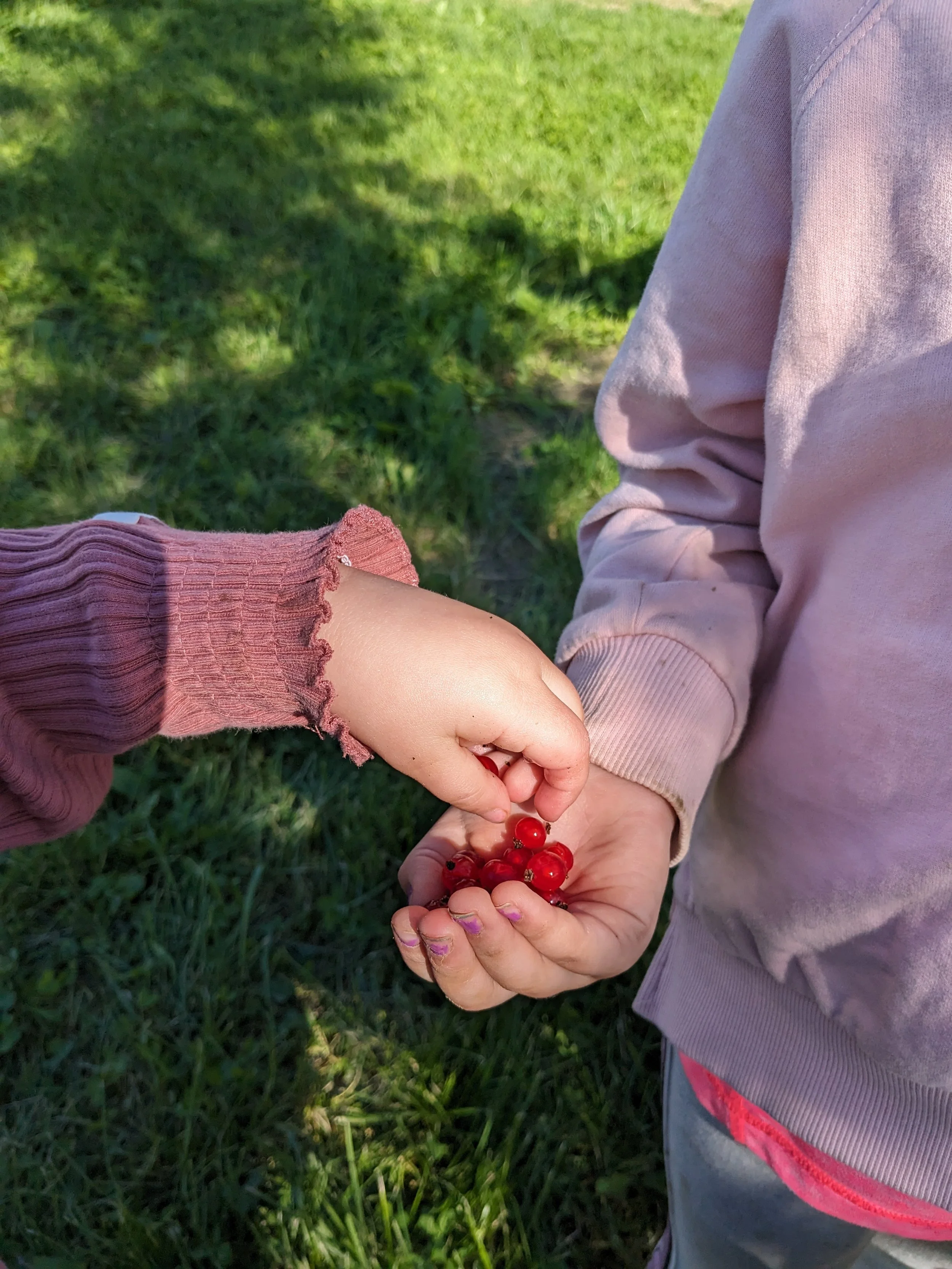 Vi har masse rips i barnehagen