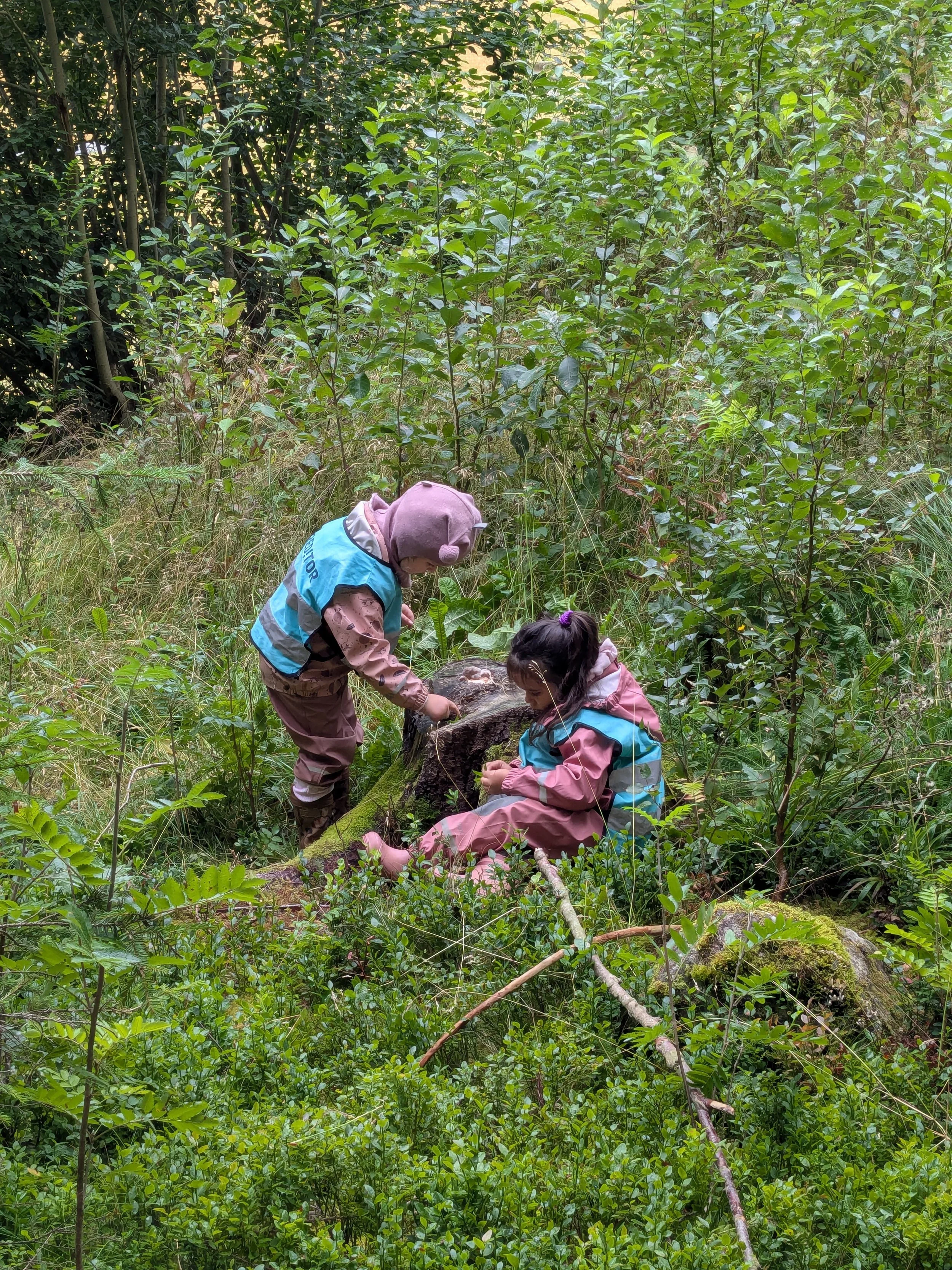 To barn som klatrer på en stubbe i en grønn skog.