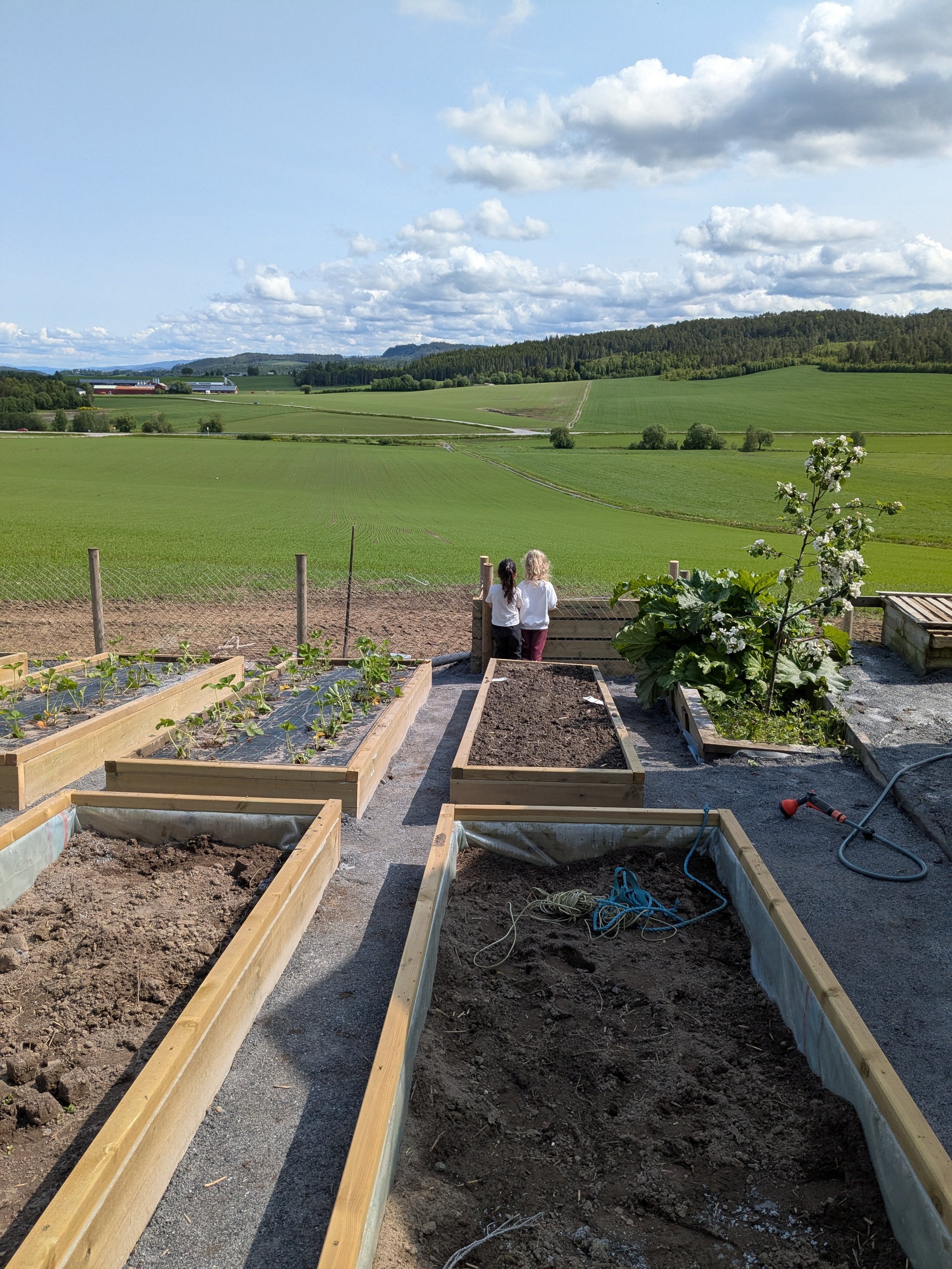 Grønnsakshagen vår. 