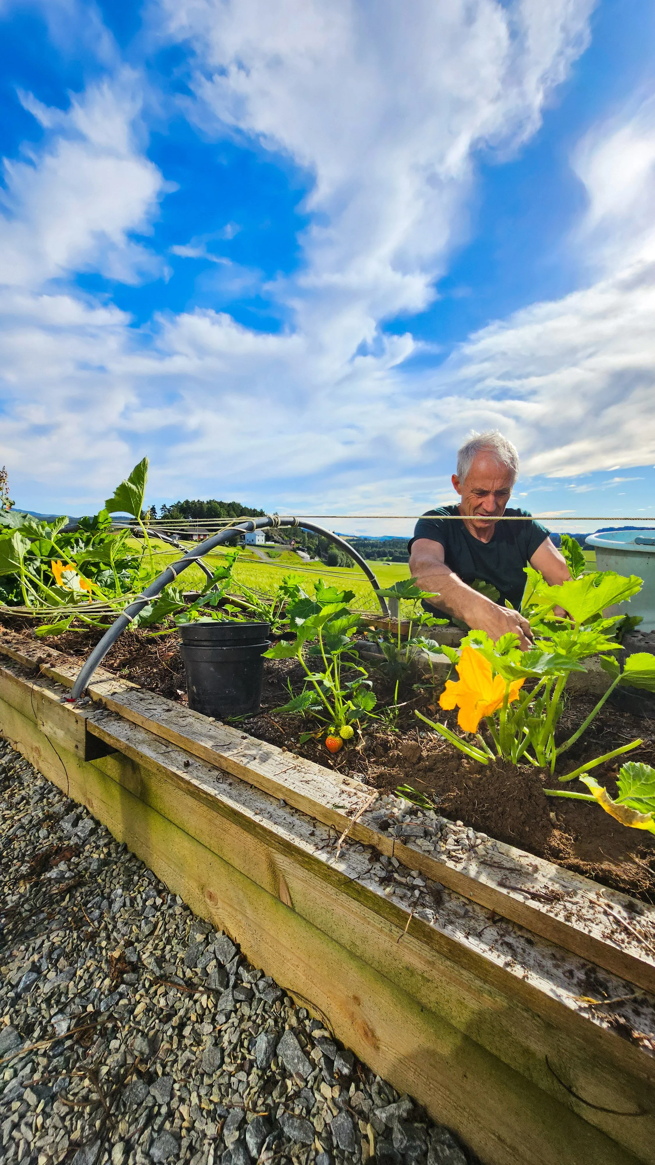 Vaktmester og gartner. 