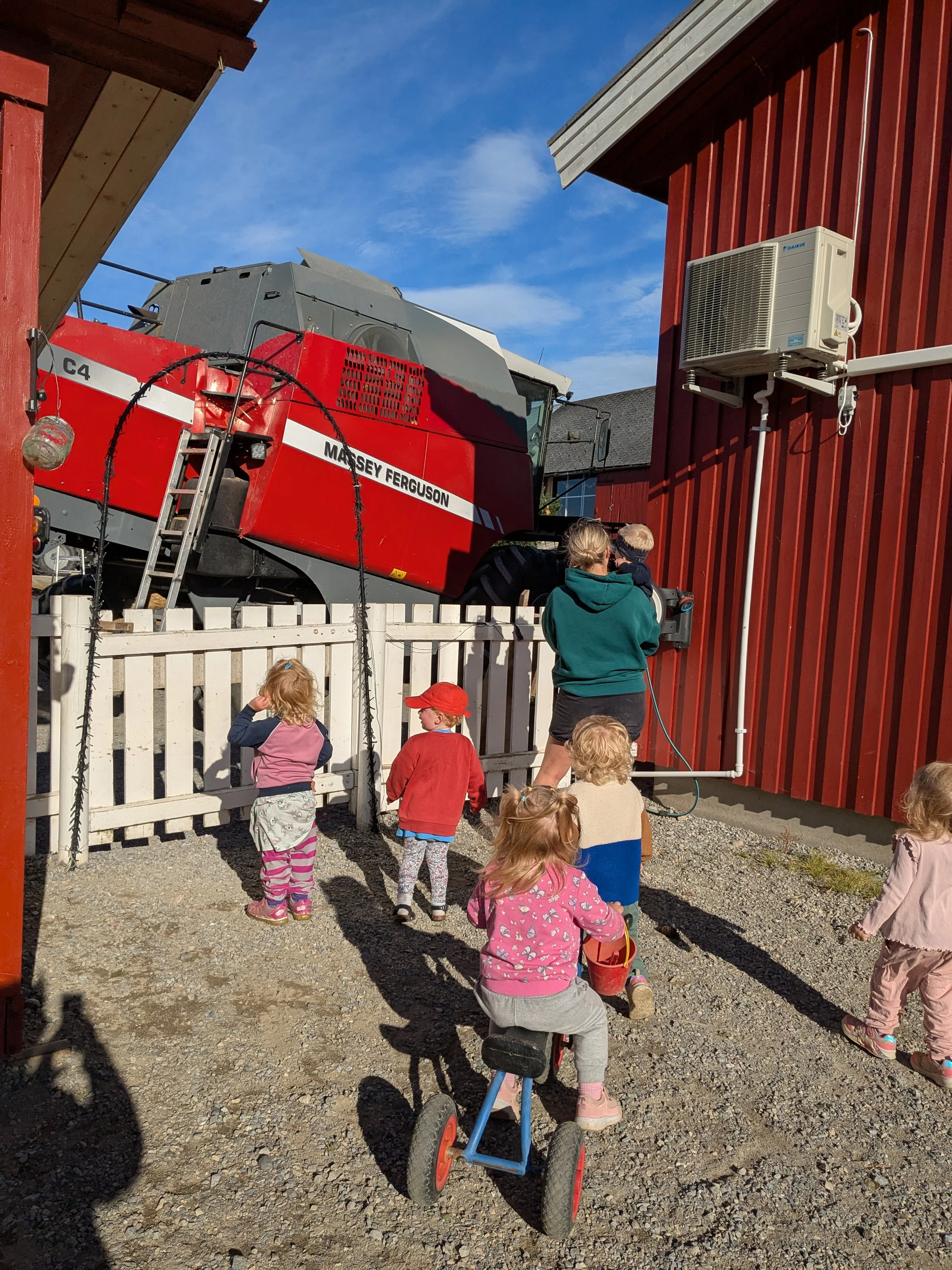 Skurtreske i bakgården