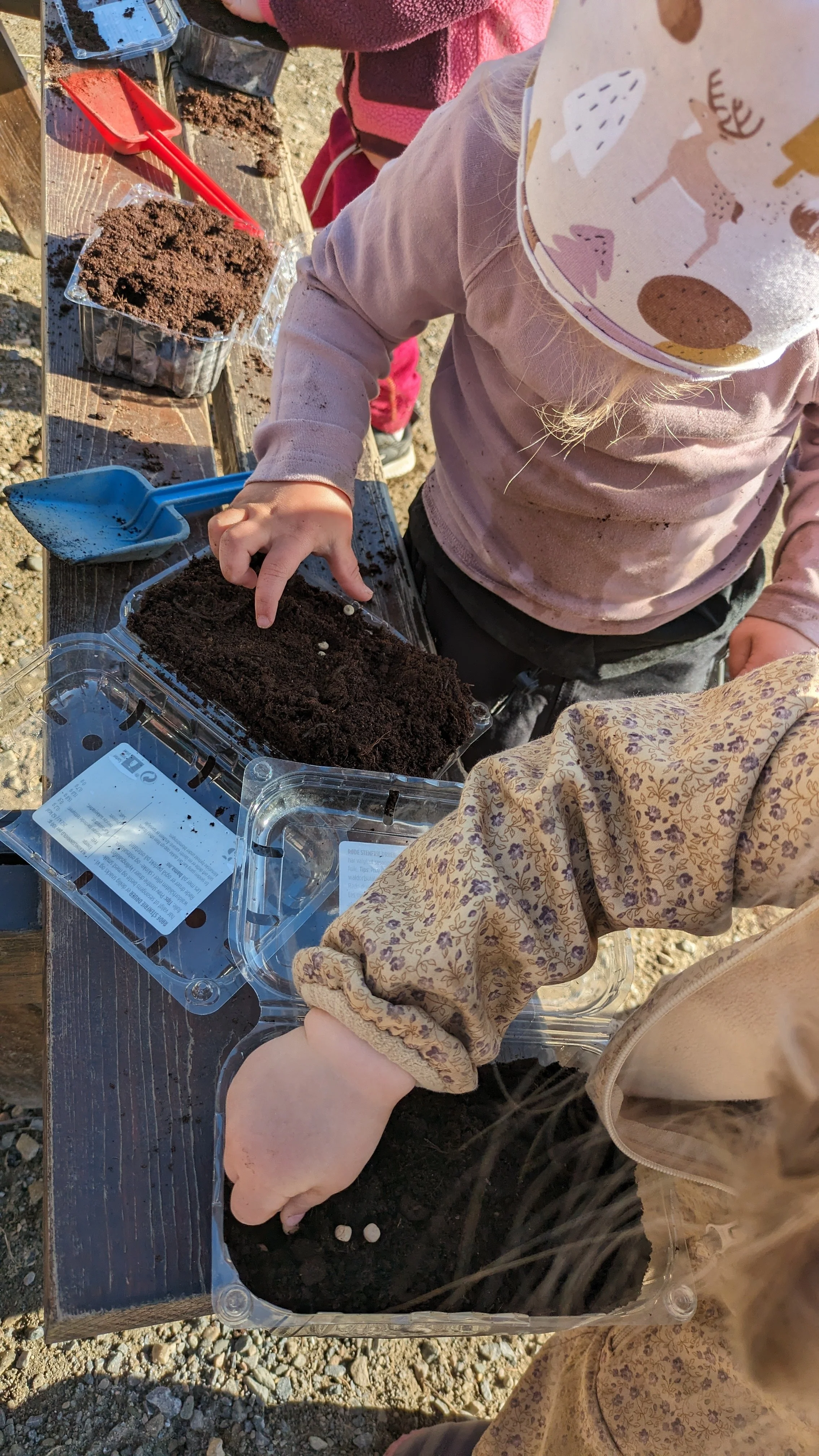 Barna sår grønnsaker og blomster. 