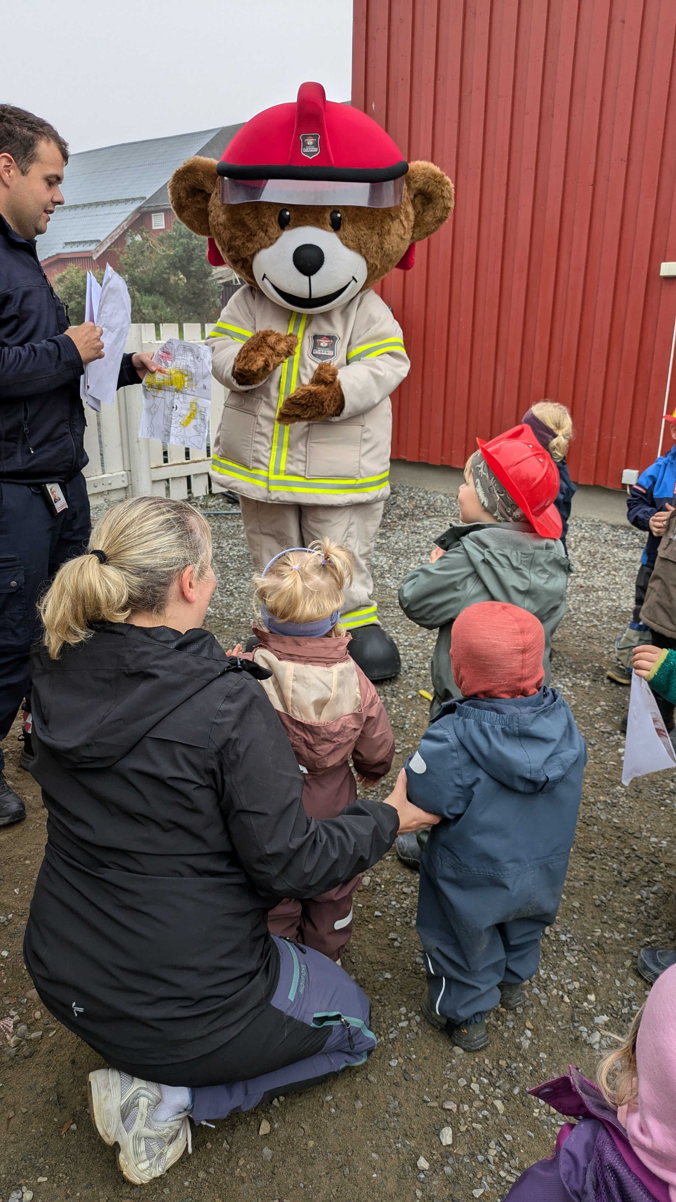 Bjørnis på besøk årlig. 