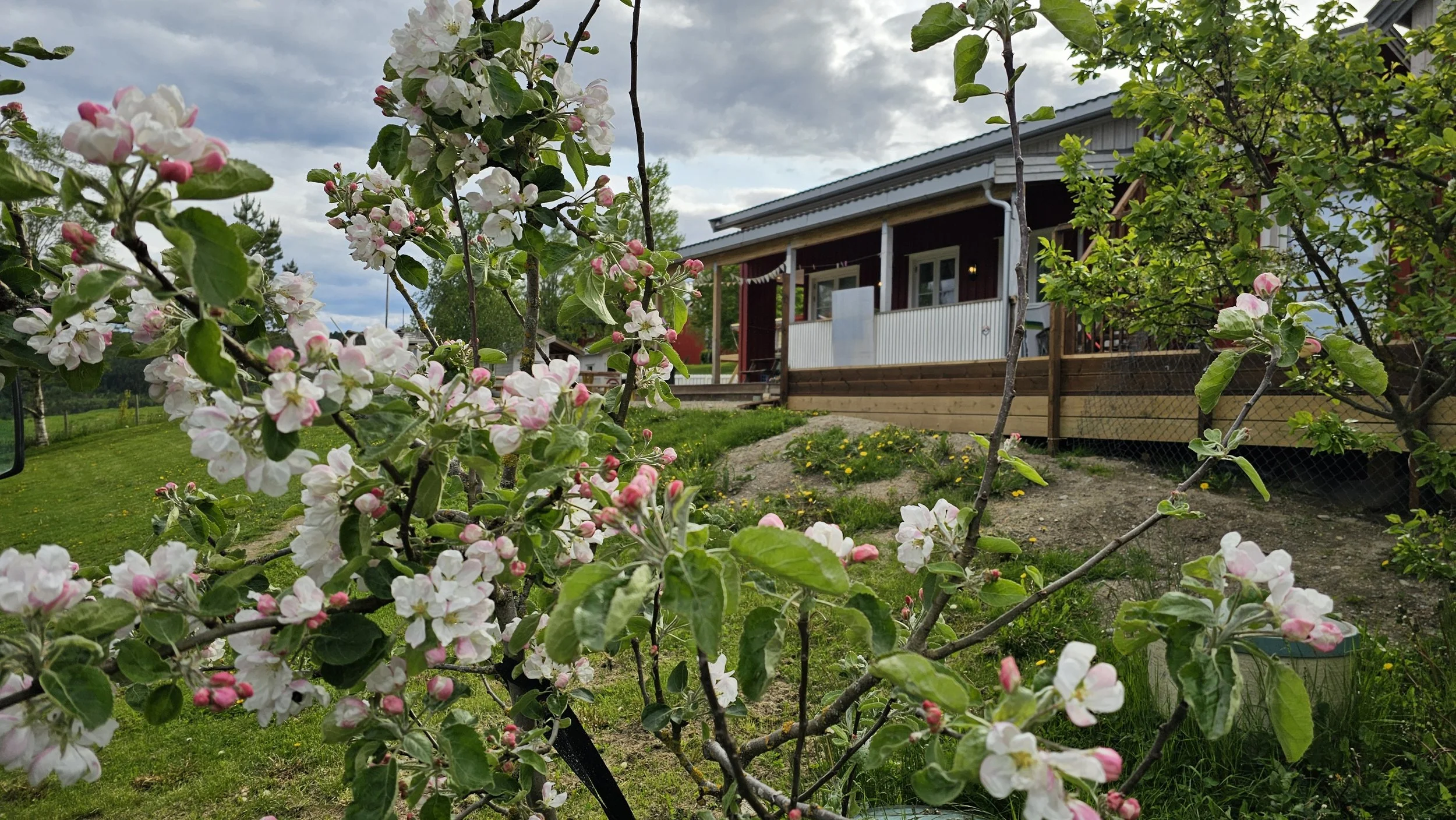 Uteområdet på barnehagen.