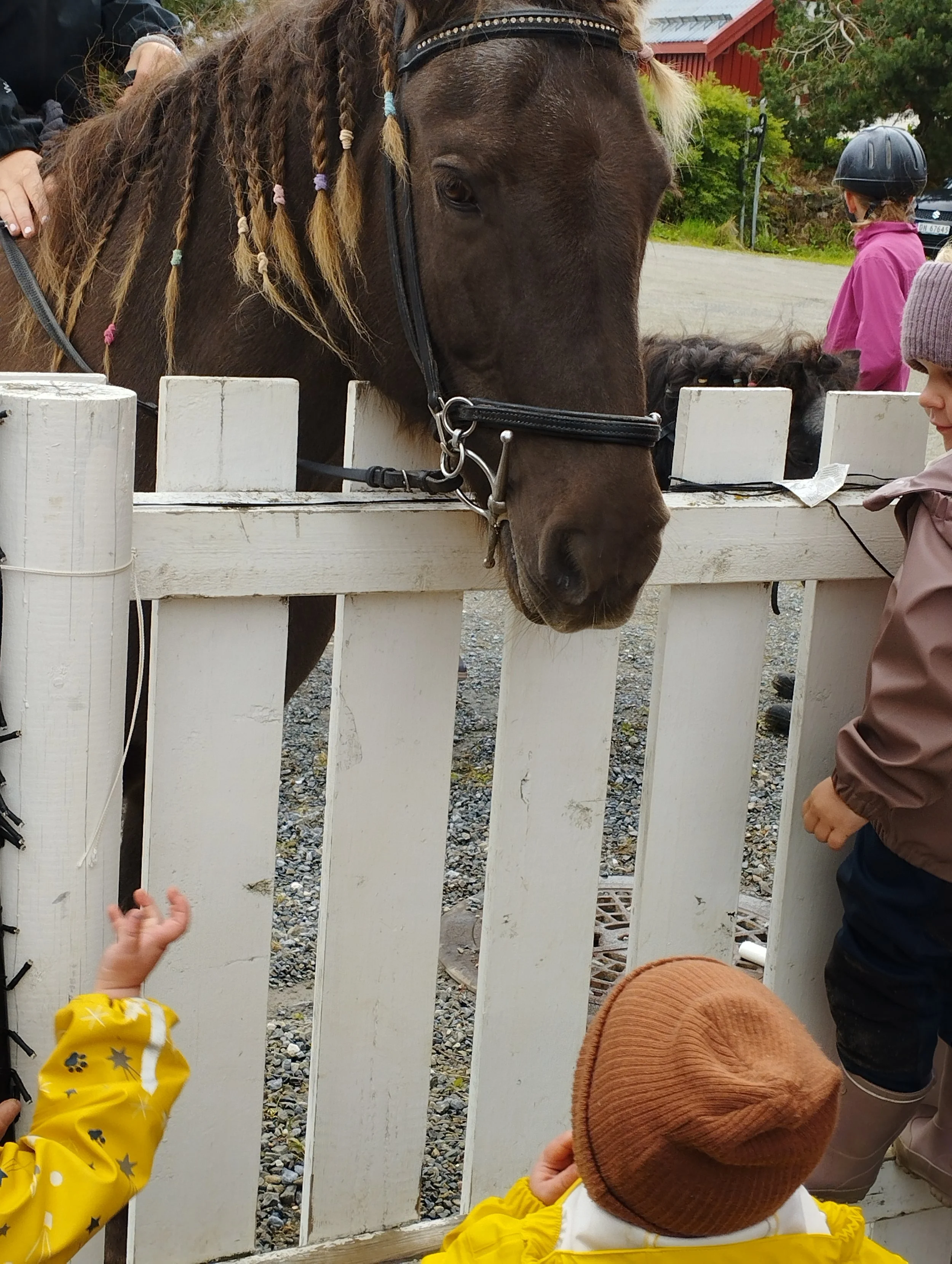 Nabohesten på besøk. 