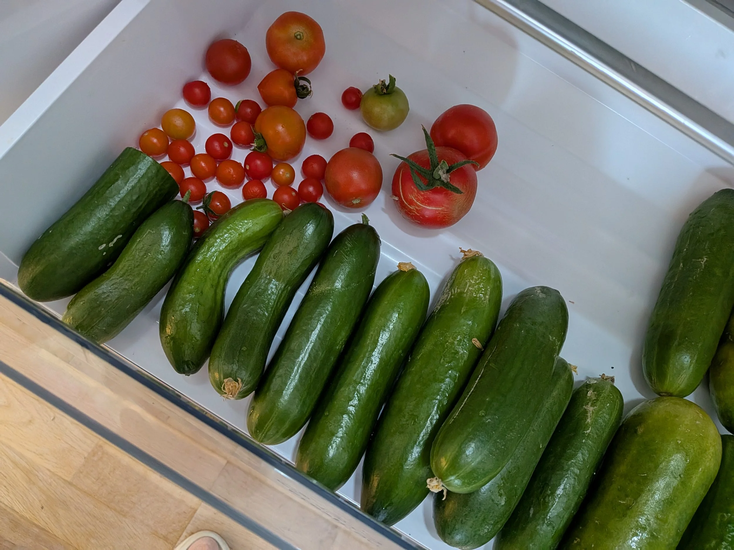 En skål med agurker og tomater