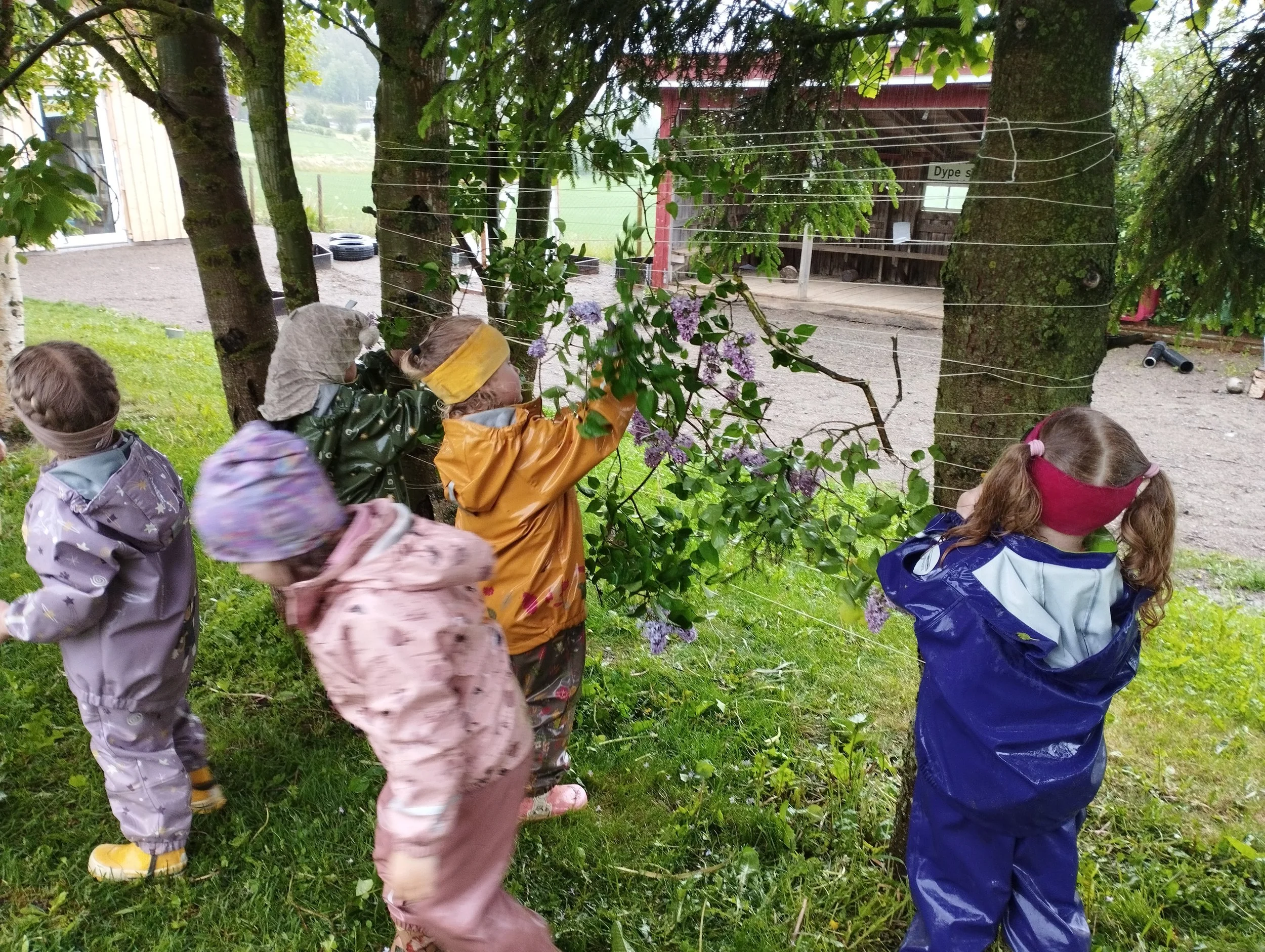 Uteområdet på barnehagen.